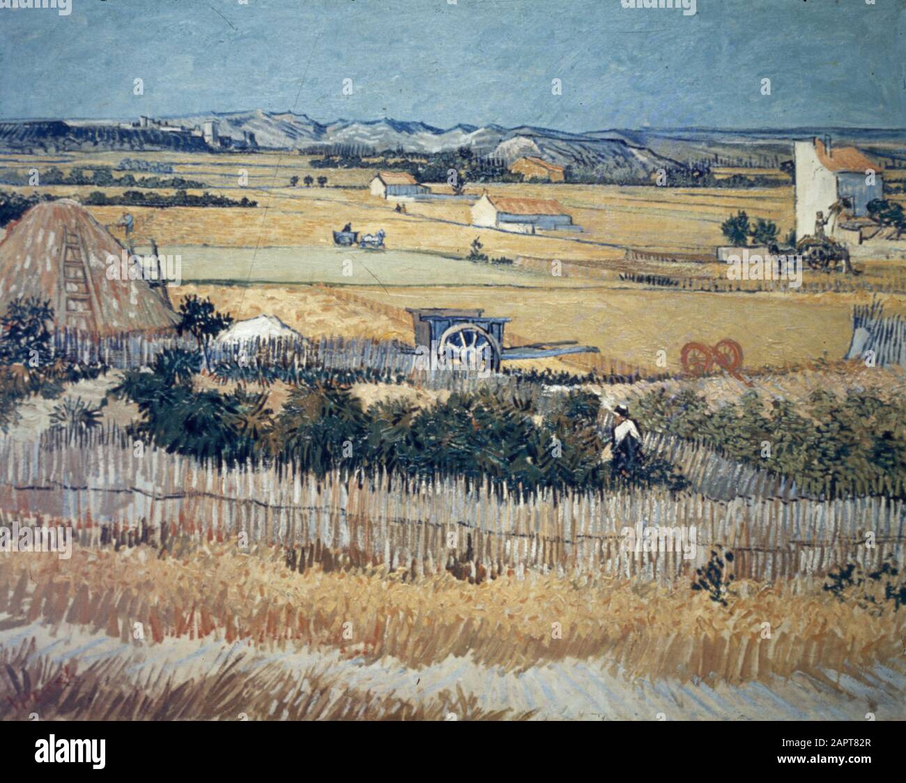 Riproduzione Fotografia Foto di un dipinto di Vincent van Gogh Data: Parole Chiave non date: Dipinti Nome personale: Gogh, Vincent van Foto Stock