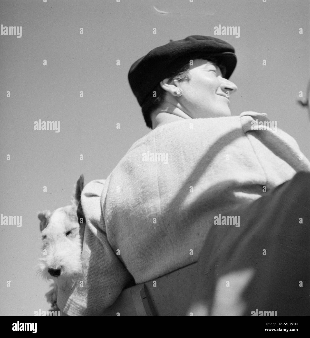 Wedding Guest with dog Data: 10 May 1932 luogo: Francia Parole Chiave: Feste, ospiti, cani Foto Stock