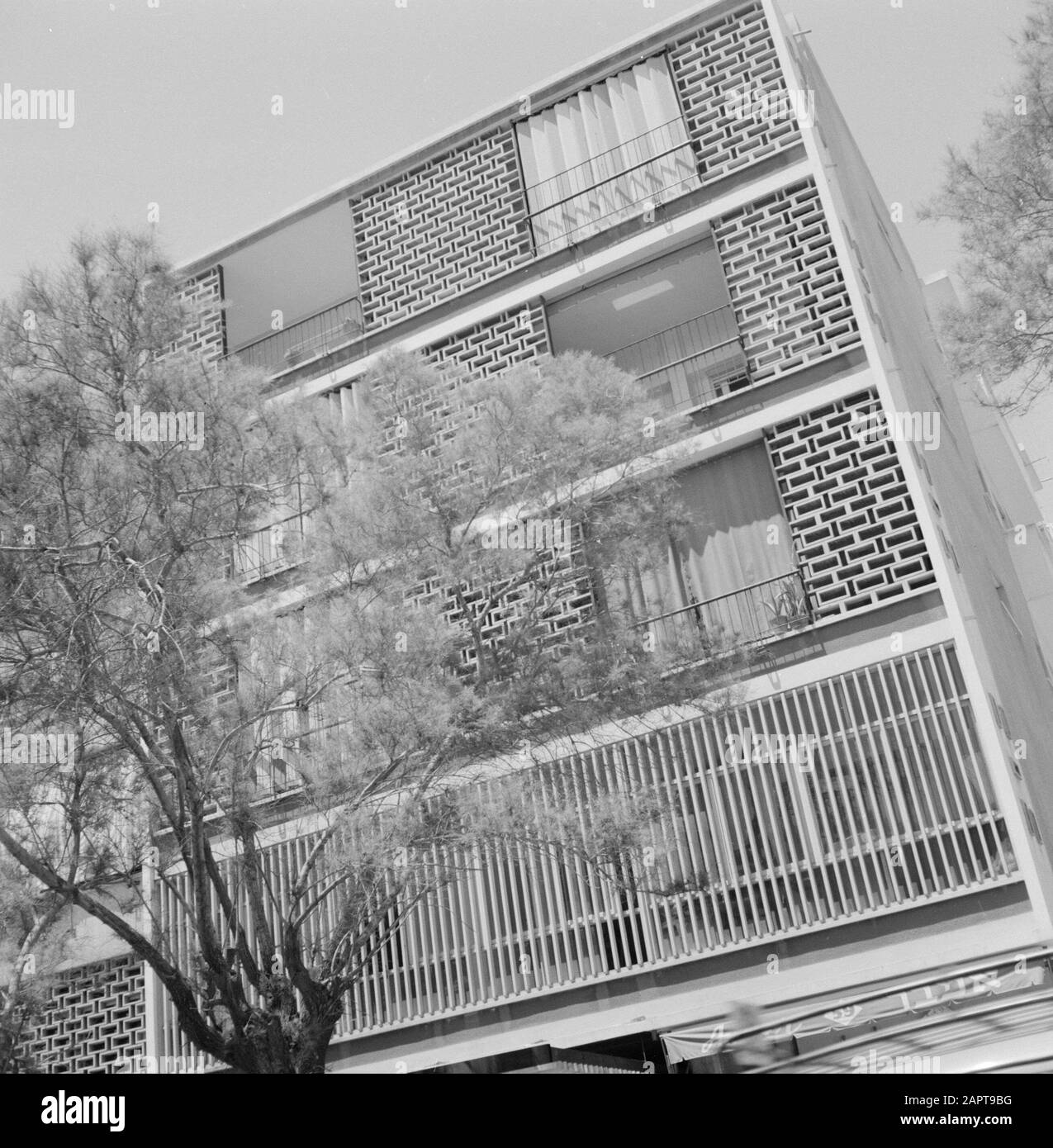 Israele 1964-1965: Tel Aviv, moderna infrastruttura e architettura edificio con un albero prima Data: 1964 Località: Israele, Tel Aviv Parole Chiave: Alberi, edifici Foto Stock