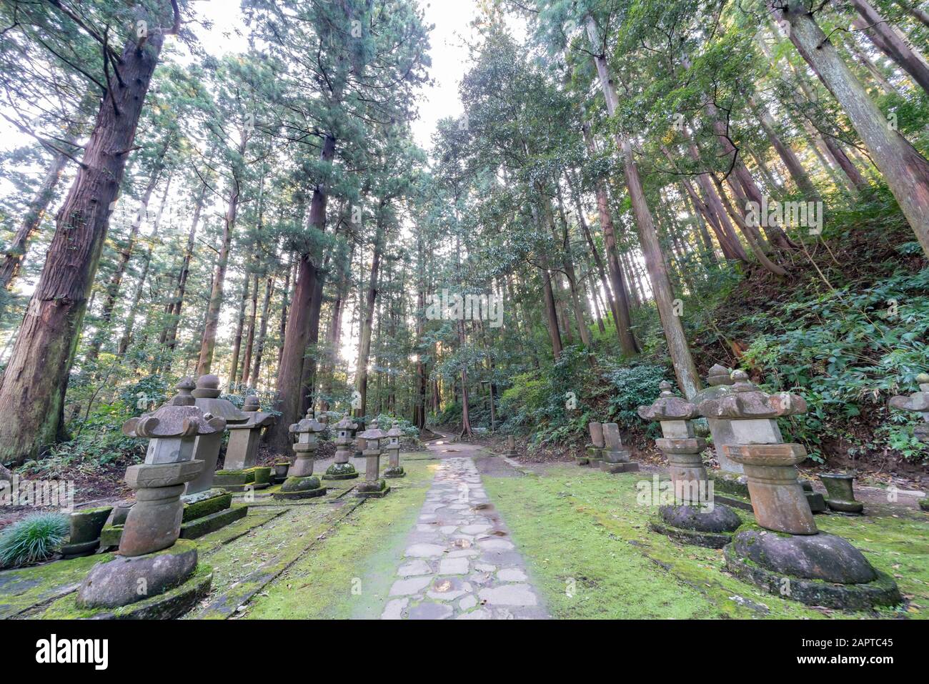 Cimitero per bambini del Tempio Zuihoji a Sendai, Giappone Foto Stock