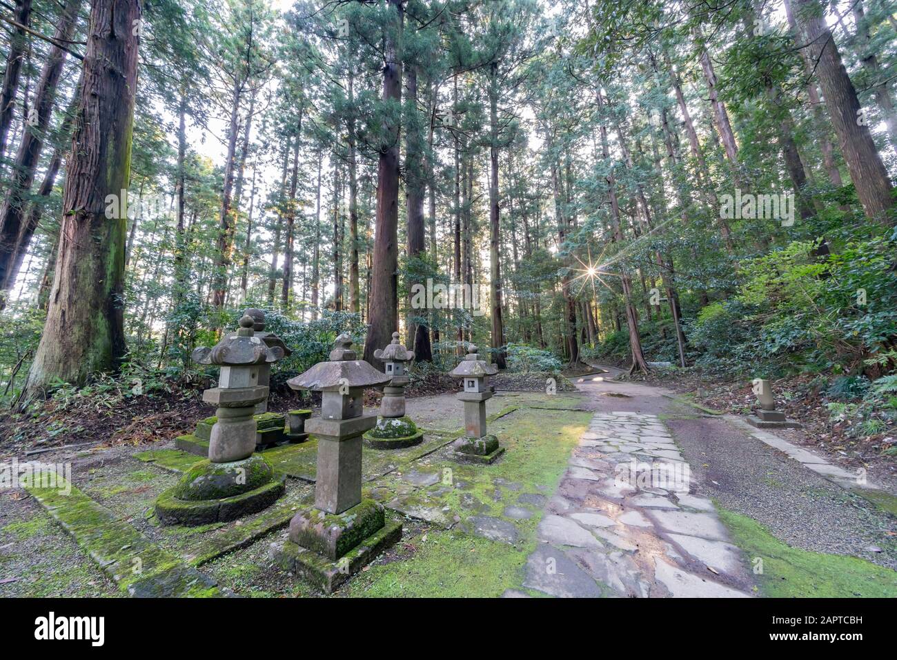 Cimitero per bambini del Tempio Zuihoji a Sendai, Giappone Foto Stock