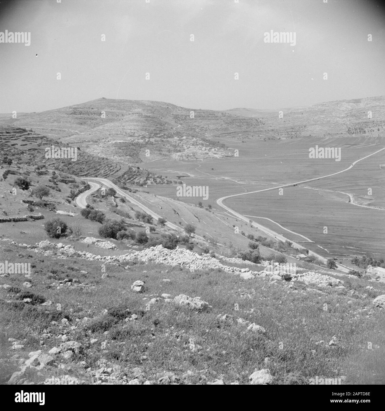 Medio Oriente 1950-1955: Giordania Gibeath Elohim, la collina di Dio nelle vicinanze di Ramallah Annotazione: Al momento della registrazione questo luogo era in Giordania Data: 1950 luogo: Palestina, Jordany, Ramallah Parole Chiave: Paesaggi, strade di campagna, panorama Foto Stock