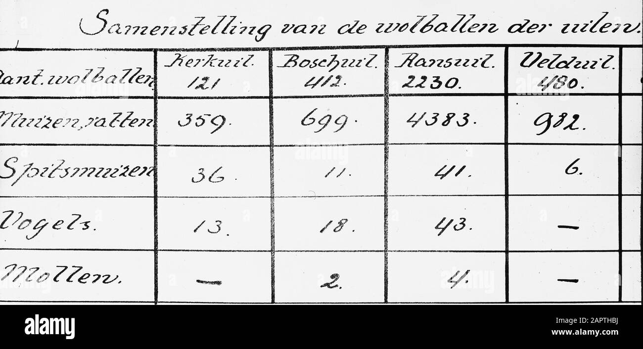 Tabella riassuntive del cibo Data: Parole Chiave non date: Uccelli Nome personale: Gufo di foresta, gufo di chiesa, ranuil, aneto di campo Foto Stock