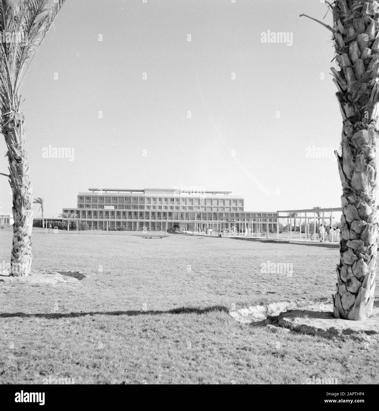 Israele: Bersheba l'ospedale Beersjeba di Kupiat Holim con pergola e due palme Data: Undata: Luogo non ondato: Bersheba, Israele Parole Chiave: Architettura, palme, ospedali Foto Stock