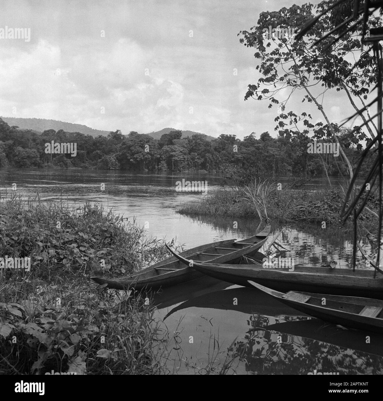 Viaggio nel Suriname e nelle Antille Olandesi i Monti Naomi dall'altra parte del Marowijnerivier Data: 1947 Località: Marowijne, Suriname Parole Chiave: Montagne, fiumi, navi Nome personale: Naomi-montagne Foto Stock