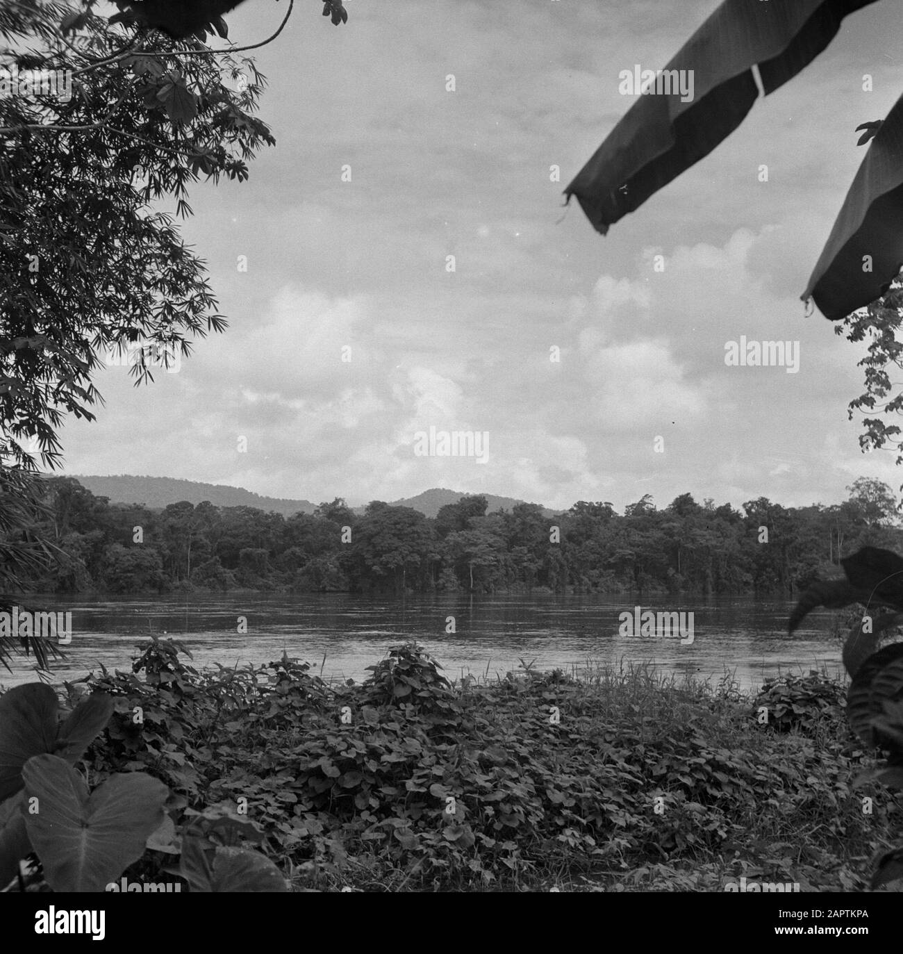 Viaggio in Suriname e Antille Olandesi i Monti Naomi dall'altra parte del Marowijnerivier Data: 1947 posizione: Marowijne, Suriname Parole Chiave: Montagne, fiumi Foto Stock