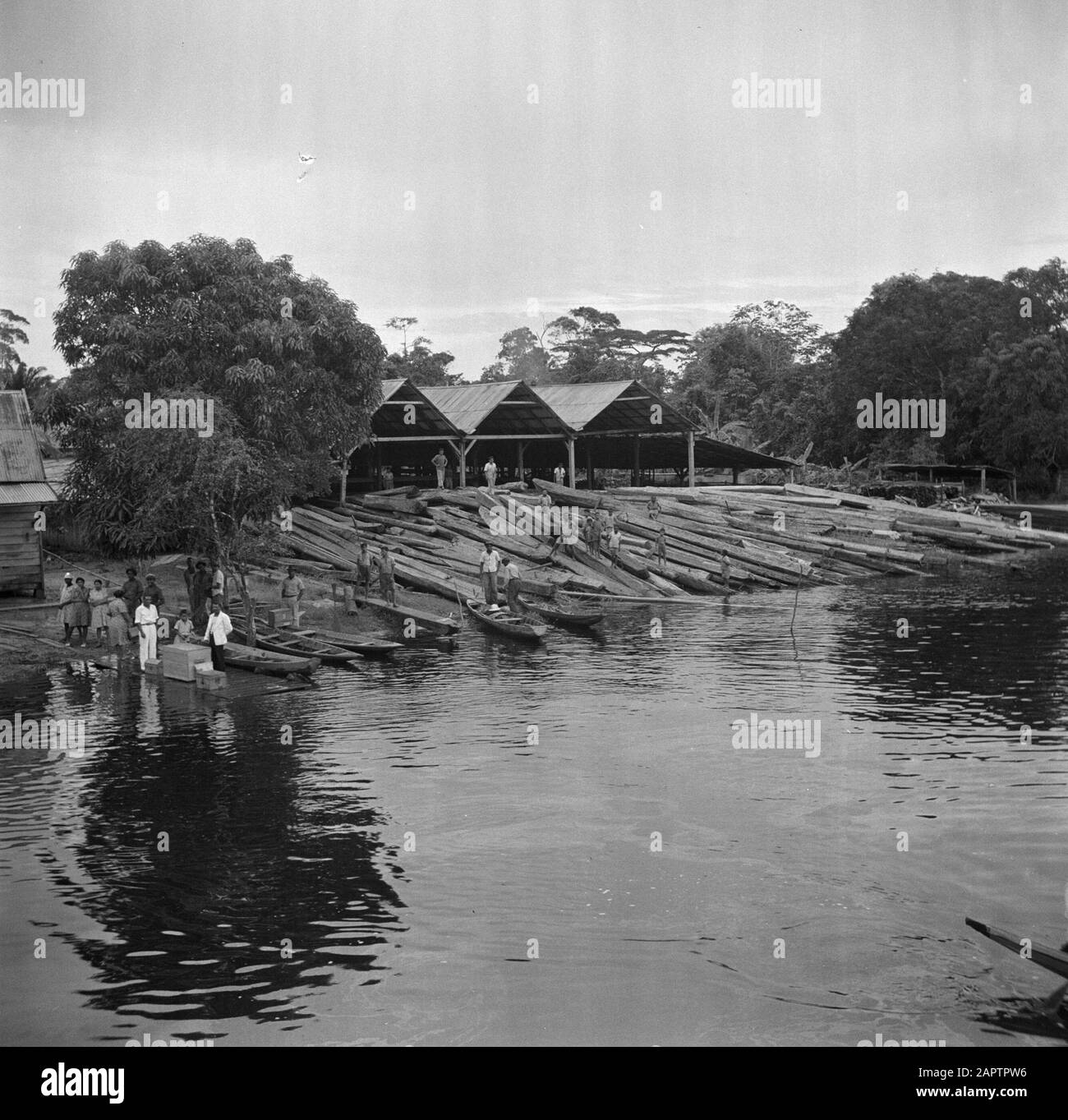 Viaggio in Suriname e Antille Olandesi Sawmill al Coticarivier Data: 1947 luogo: Suriname Parole Chiave: Industria del legno Foto Stock