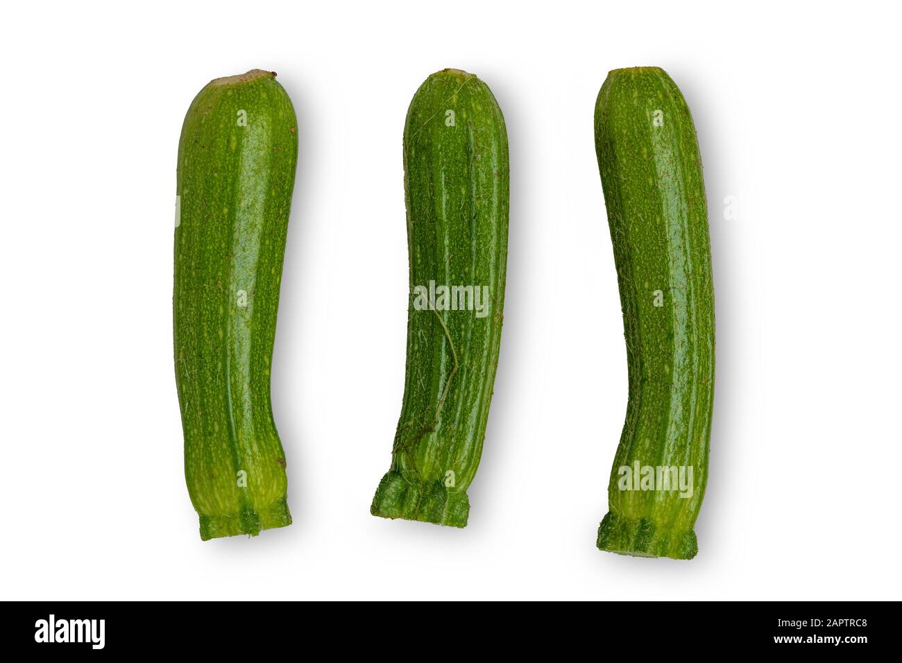 Zucchine verde bambino isolato su sfondo bianco studio Foto Stock