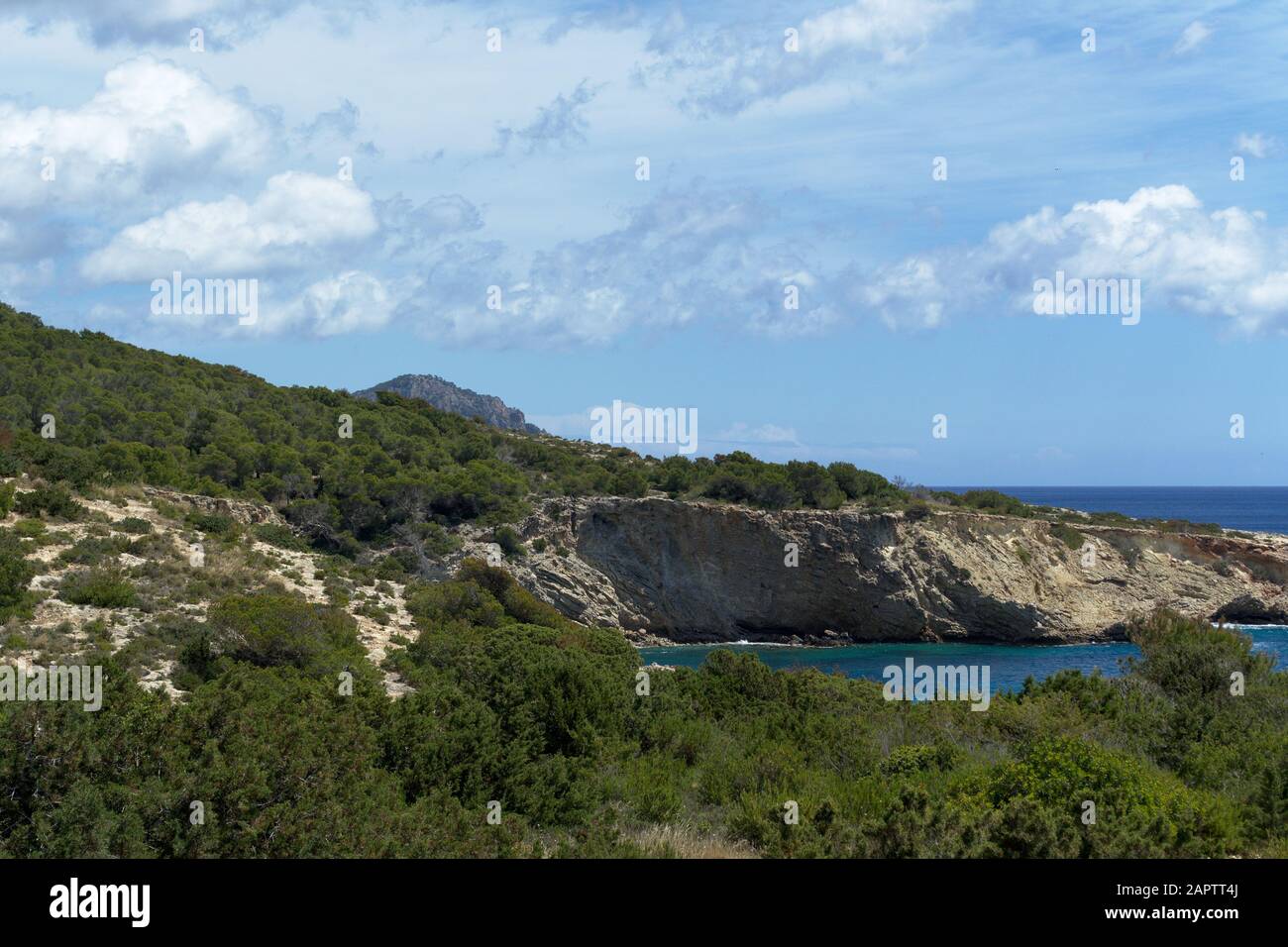 Costa rocciosa al mare con vegetazione, acqua blu e cielo nuvoloso. Isola di Ibiza, Spagna Foto Stock