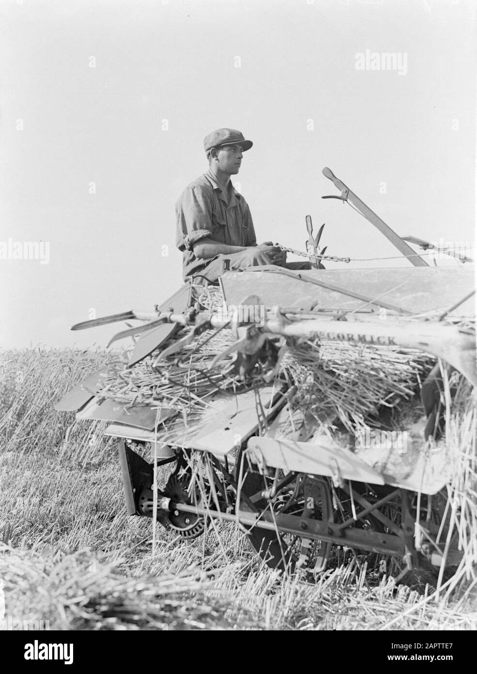 Reportage Noord-Olanda Nel Purmer. Falciatrice per grano disegnato da cavalli che lega anche il grano alle pulegge Data: 1933 Località: Noord-Holland, Purmer Parole Chiave: Arativo, grano, agricoltura, attrezzi agricoli, falciatrici, mietitura, cavalli, pulegge Foto Stock