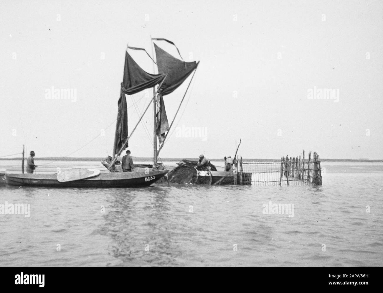 Pulizia borchie salmone Data: Parole Chiave non date: Pesca d'acqua dolce Foto Stock