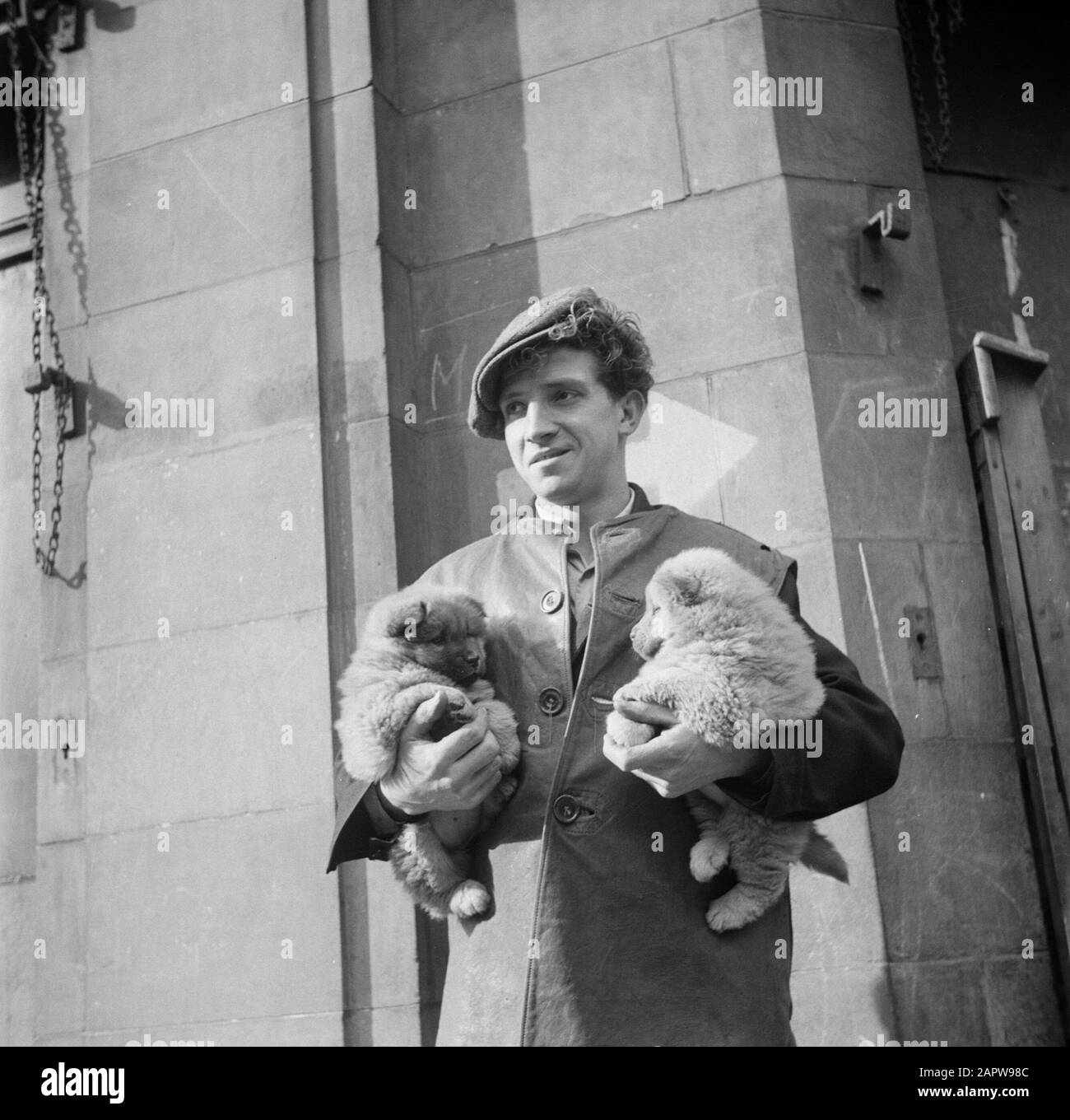 Mercato in Petticoat Lane, London Merchant con cuccioli sotto il suo braccio Data: 1947 Località: Inghilterra, Londra Parole Chiave: Cani, mercati Foto Stock