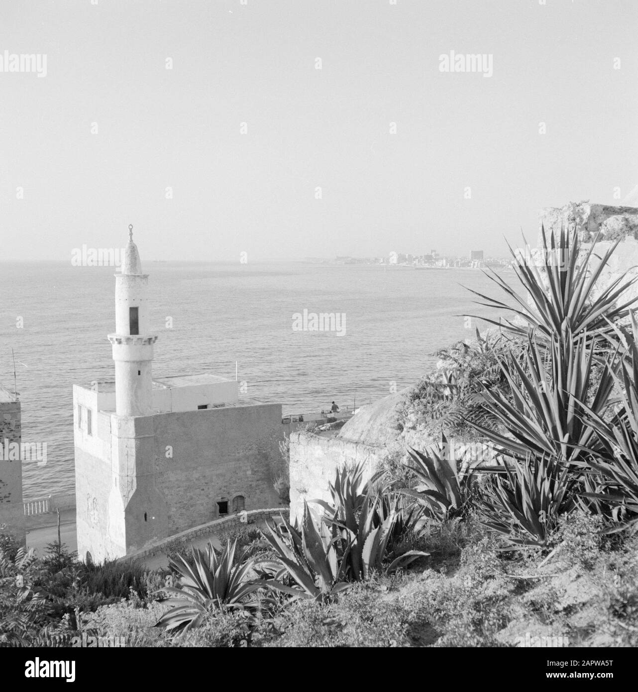 Israele: Jaffa (Tel Aviv) Costa vicino a Jaffa, con in primo piano un edificio con una torretta Annotazione: Jaffa è ora un quartiere della città di Tel Aviv Data: Undicated posizione: Israele, Jaffa, Tel Aviv Parole Chiave: Edifici, coste, panorami, torri, mari Foto Stock