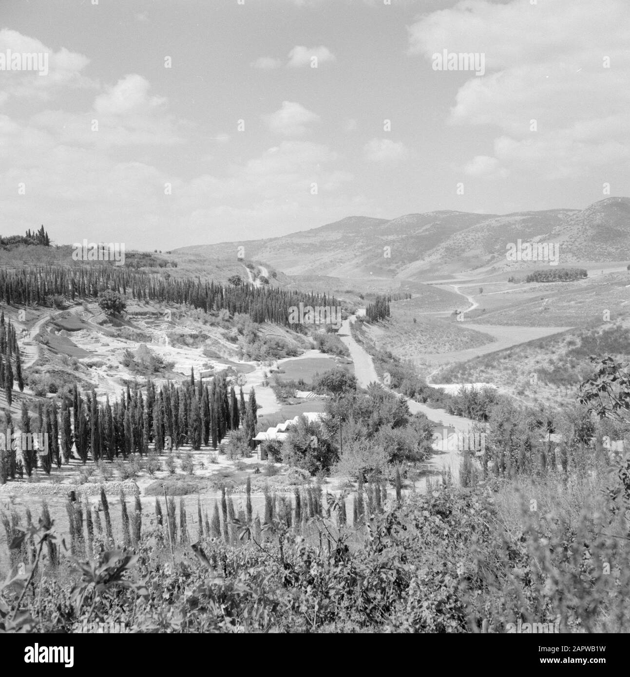 Israele 1964-1965: Bet Shearim, dintorni Paesaggio con montagne e alberi Annotazione: Bet Shearim è un sito archeologico nella pianura di Jizreel in Galilea in Israele. Nel 2nd secolo d.C., qui fu costruita una città con una necropoli. Bet Shearim si trova ai piedi delle montagne del Carmelo, a circa 20 chilometri a est di Haifa Data: 1964 luogo: Bet Shearim, Israele Parole Chiave: Montagne, alberi, paesaggi, panorami Foto Stock
