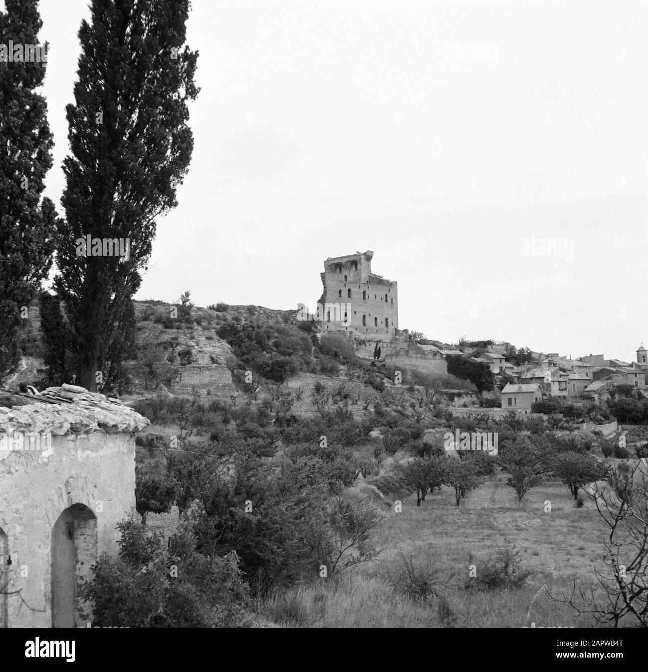 Regioni del vino - Châteauneuf-du-Pape Paesaggio intorno Châteauneuf-du-Pape, con cipressi, ulivi e sulla collina i resti di un castello Data: Undate: Undate luogo: Châteauneuf-du-Pape, Francia Parole Chiave: Villaggi, castelli, paesaggi, viticoltura Foto Stock