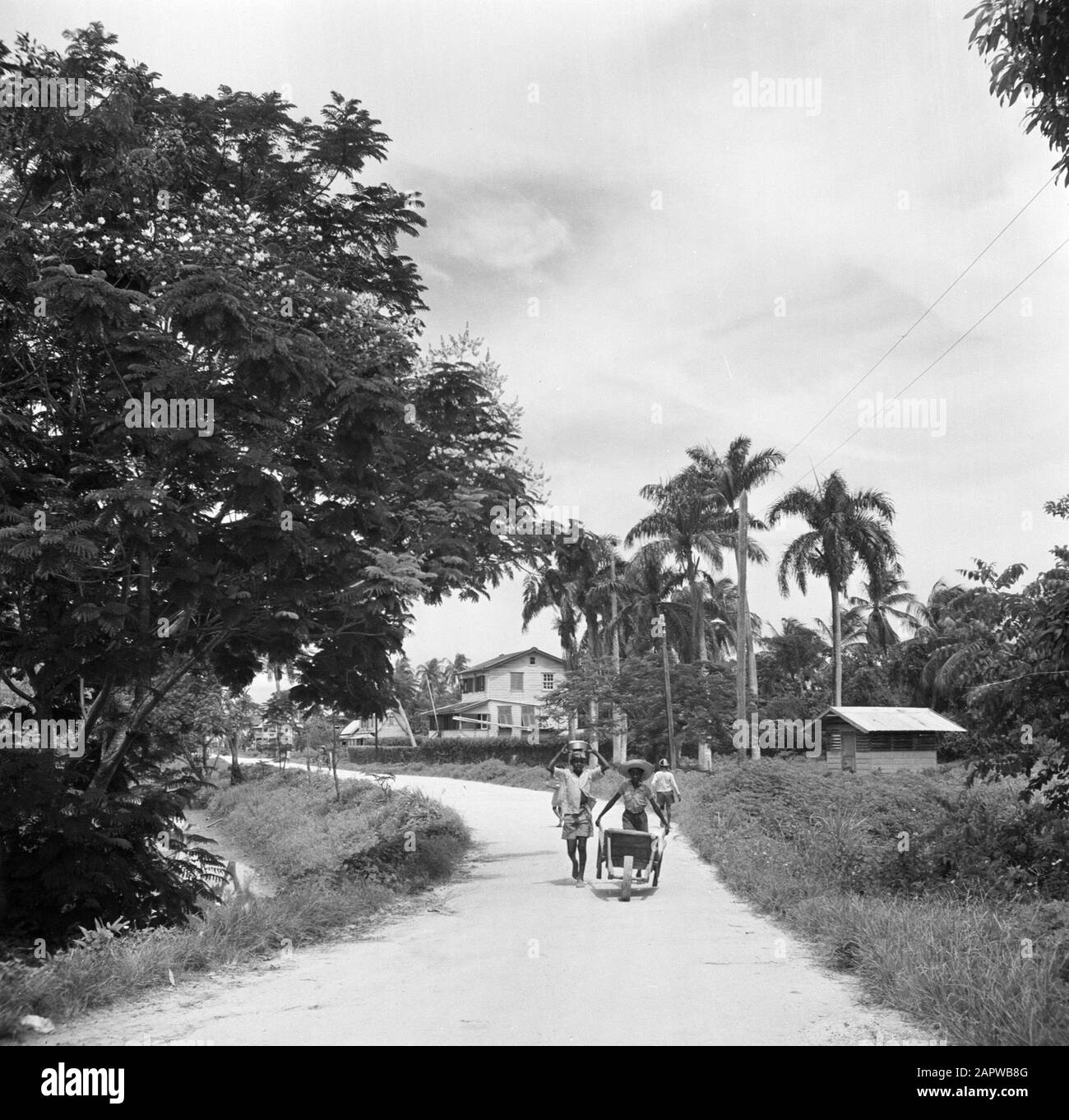 Viaggio in Suriname e Antille Olandesi Landweg in Suriname Data: 1947 luogo: Suriname Parole Chiave: Edifici, bambini Foto Stock