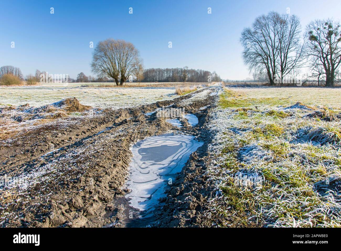 Strada di campagna ghiacciata e campi, brina su erba, alberi e cielo blu, giornata invernale soleggiata Foto Stock