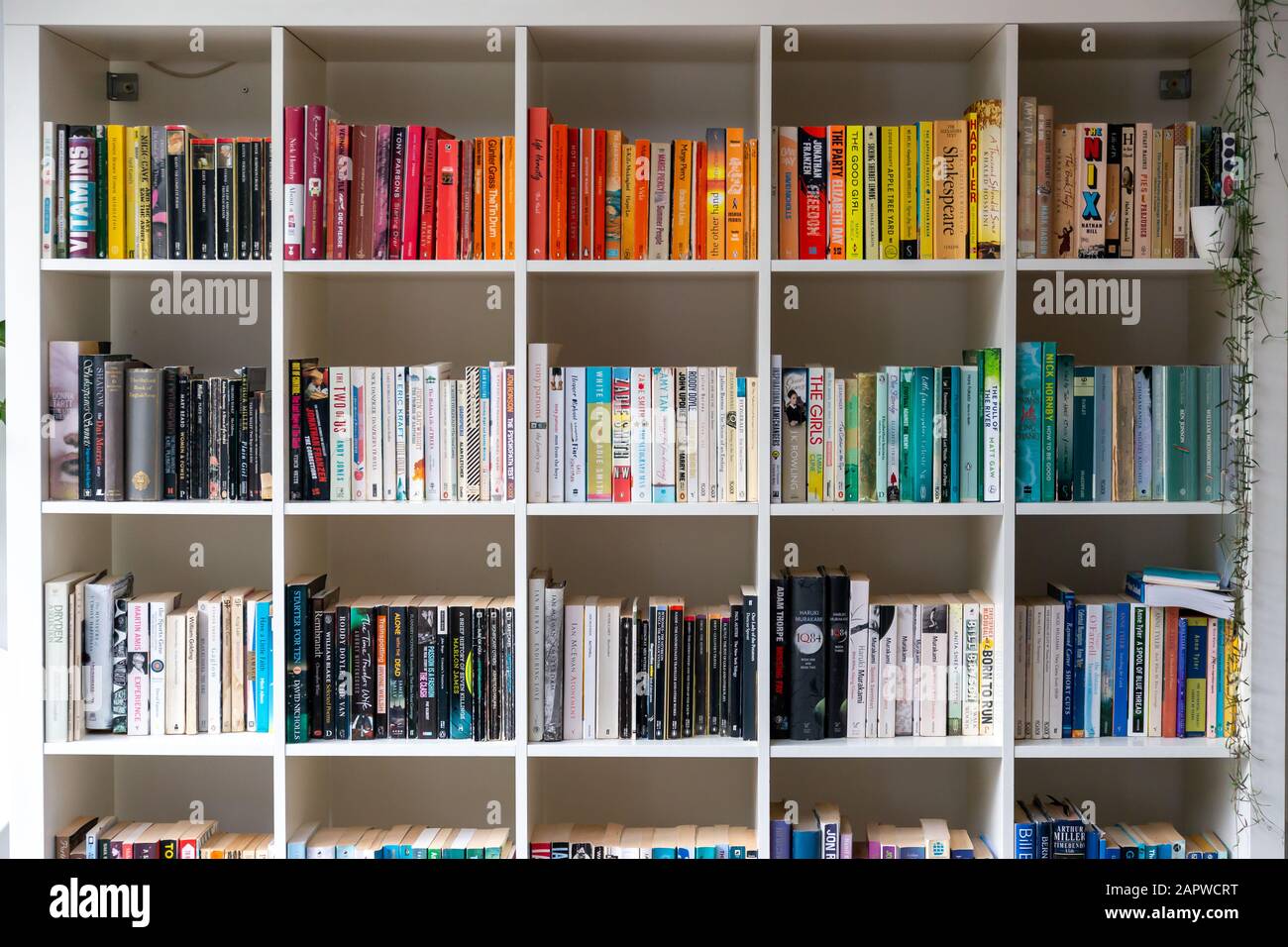 Libreria/libreria di legno bianco piena di libri in un interno moderno Progettare l'impostazione della casa nel Regno Unito Foto Stock