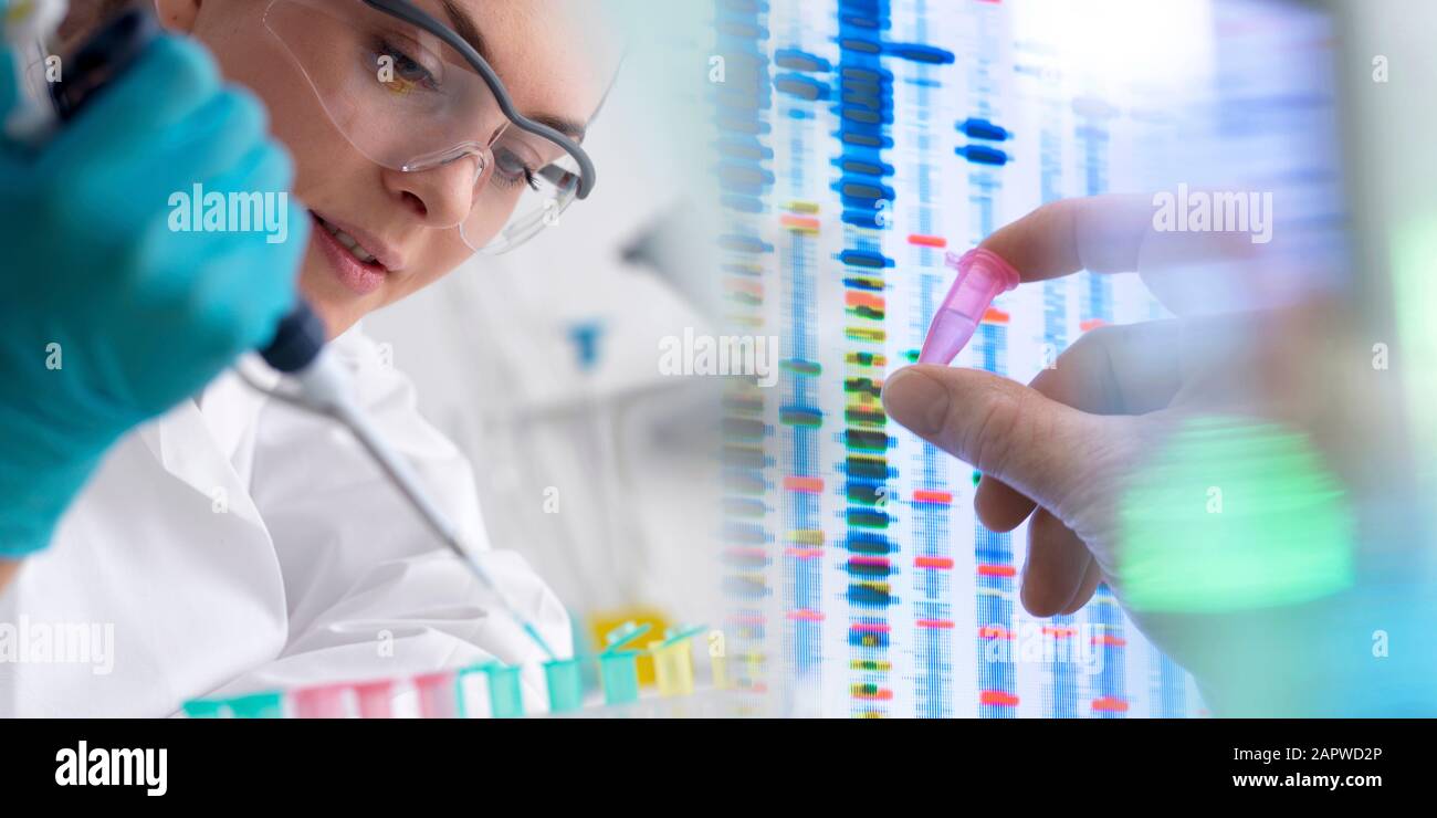 Test genetici Foto Stock