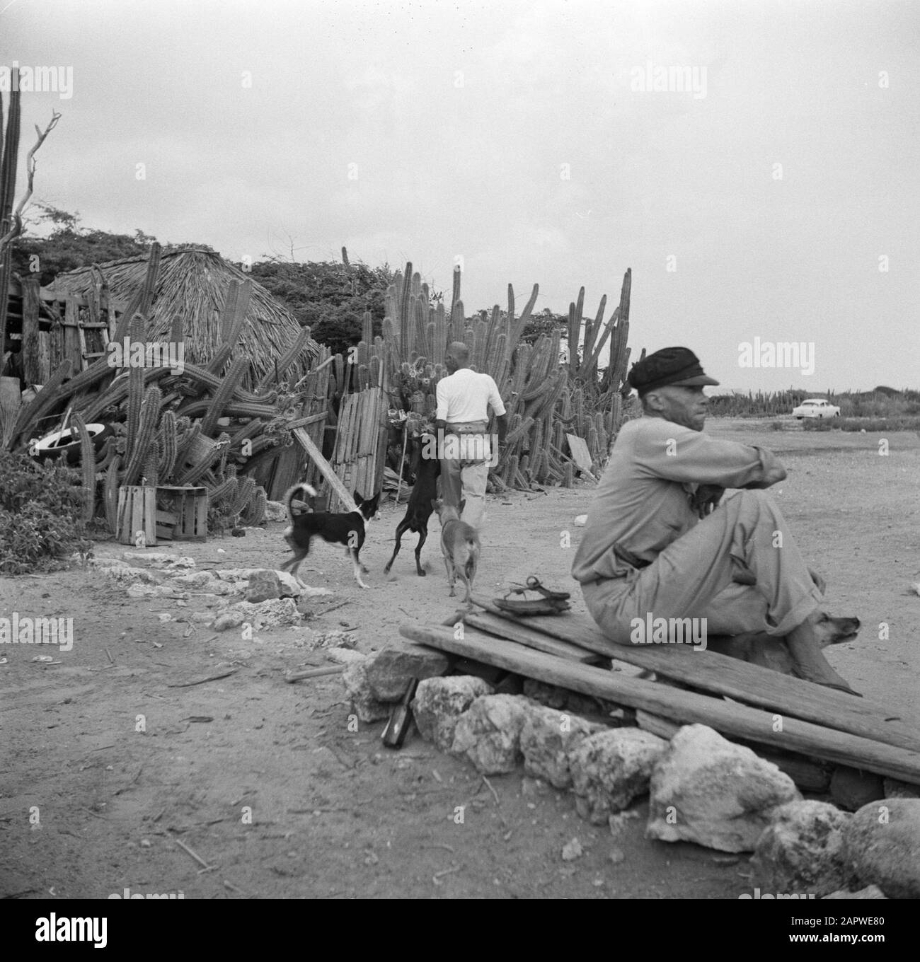 Antille Olandesi e Suriname al momento della visita reale della Regina Juliana e del Principe Bernhard nel 1955 l'uomo in una casa cunucu, probabilmente il Curaçao Data: 1 ottobre 1955 Ubicazione: Curaçao, Antille Olandesi Parole Chiave: Cani, popolazione indigena, case Foto Stock