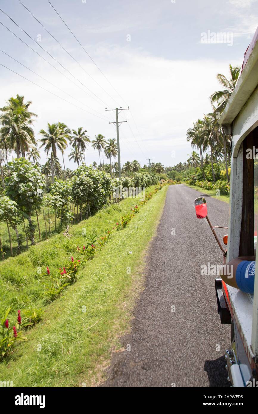 Gomito dell'autista dell'autobus all'esterno della finestra con piante tropicali e palme Foto Stock