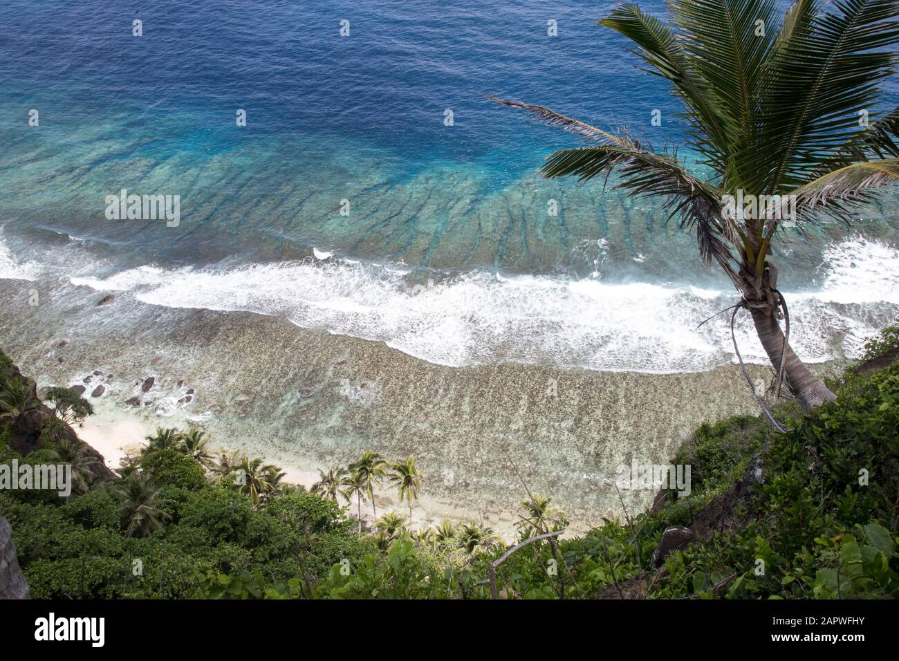 Vista ad alta angolazione della barriera corallina e della costa con palme Foto Stock