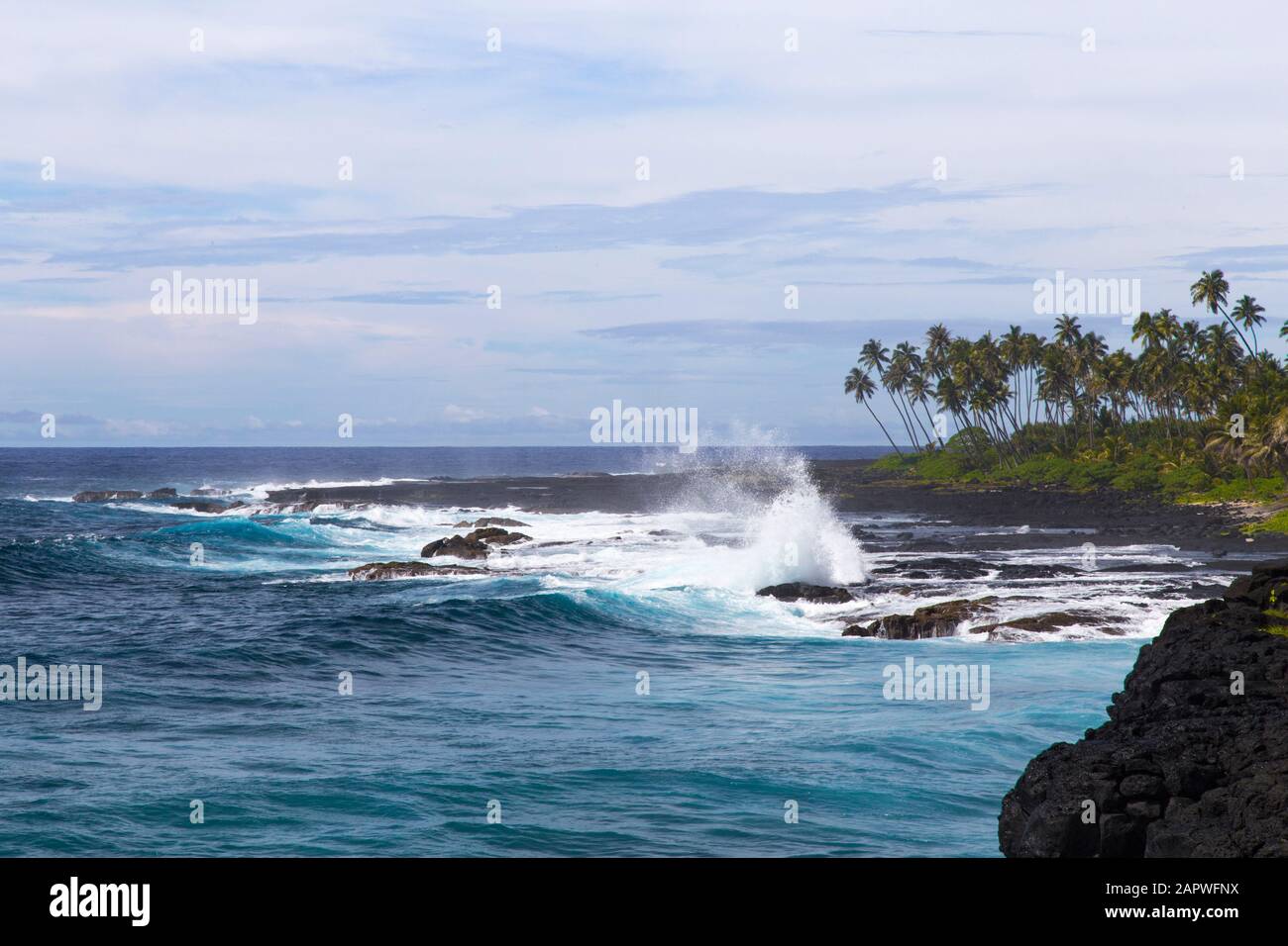 Scogliere vulcaniche costiere con onde blu che si rompono e palme Foto Stock