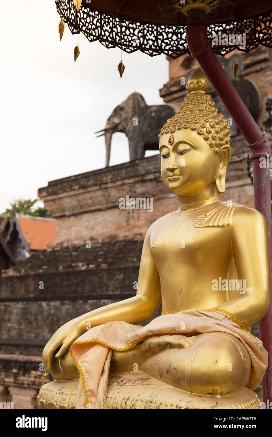 Statua del buddha d'oro con statua dell'elefante sullo sfondo Foto Stock