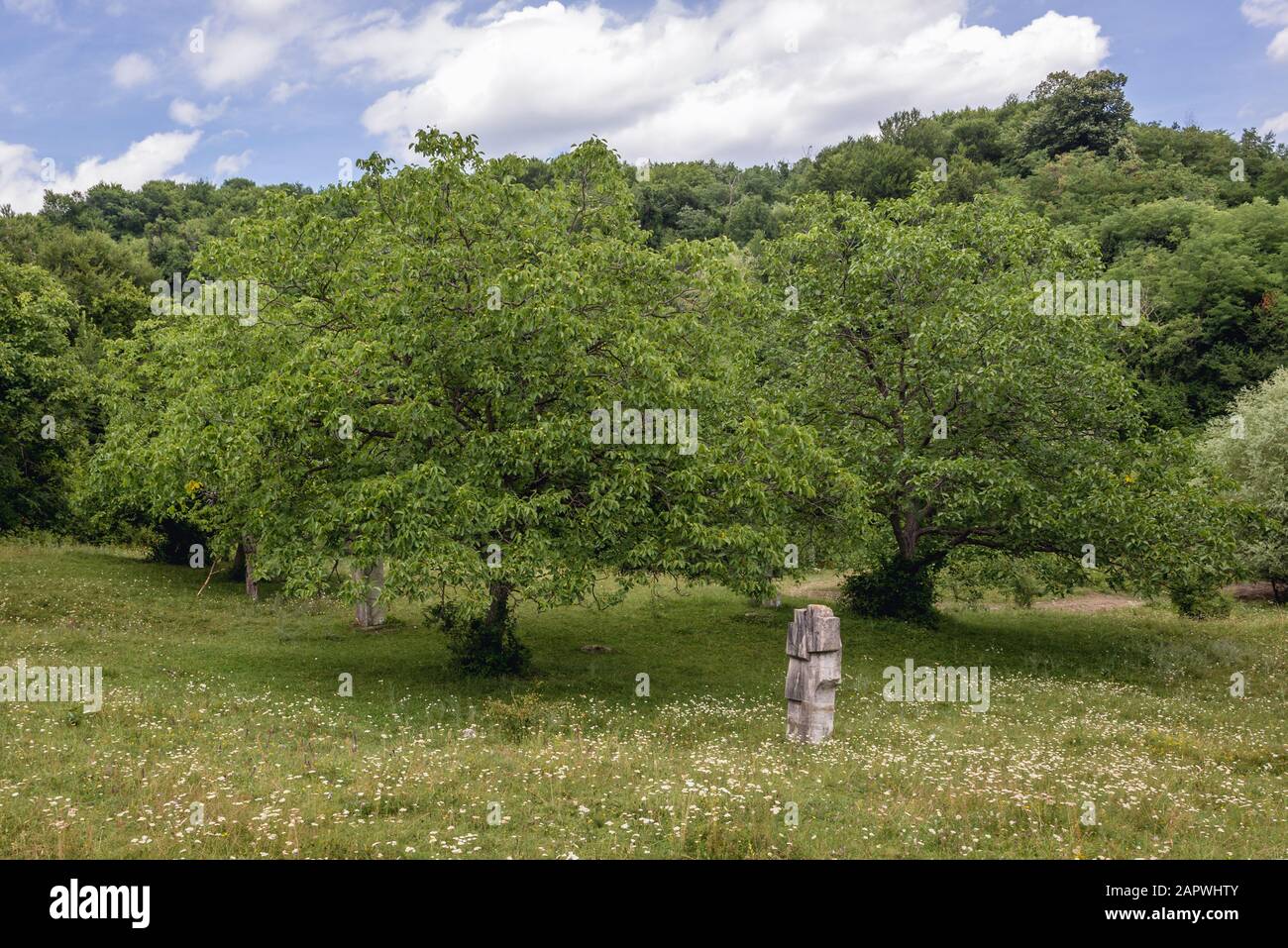 Resti di Magura Sculpture Camp - evento che ha avuto luogo durante le estati degli anni 1970-1986 a Magura, Buzau County di Romania Foto Stock