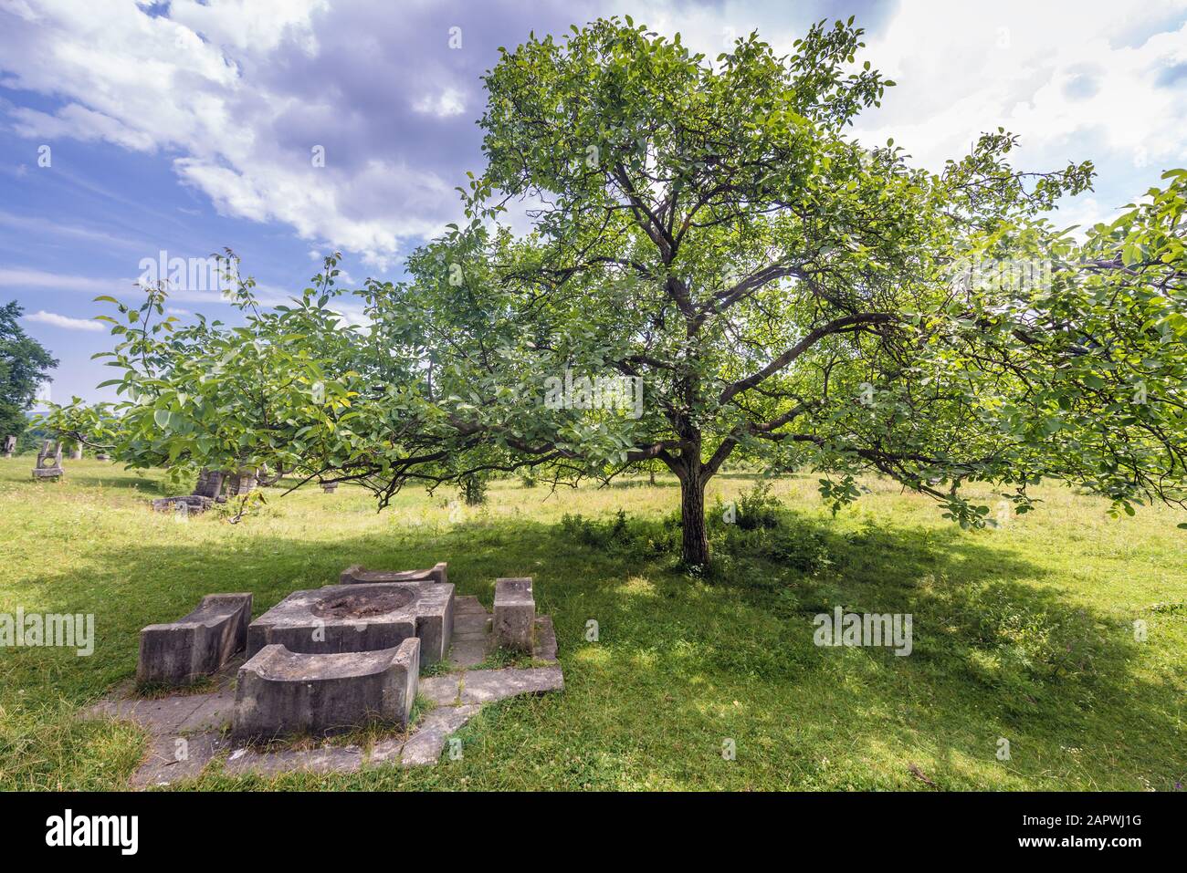 Resti di Magura Sculpture Camp - evento che ha avuto luogo durante le estati degli anni 1970-1986 a Magura, Buzau County di Romania Foto Stock