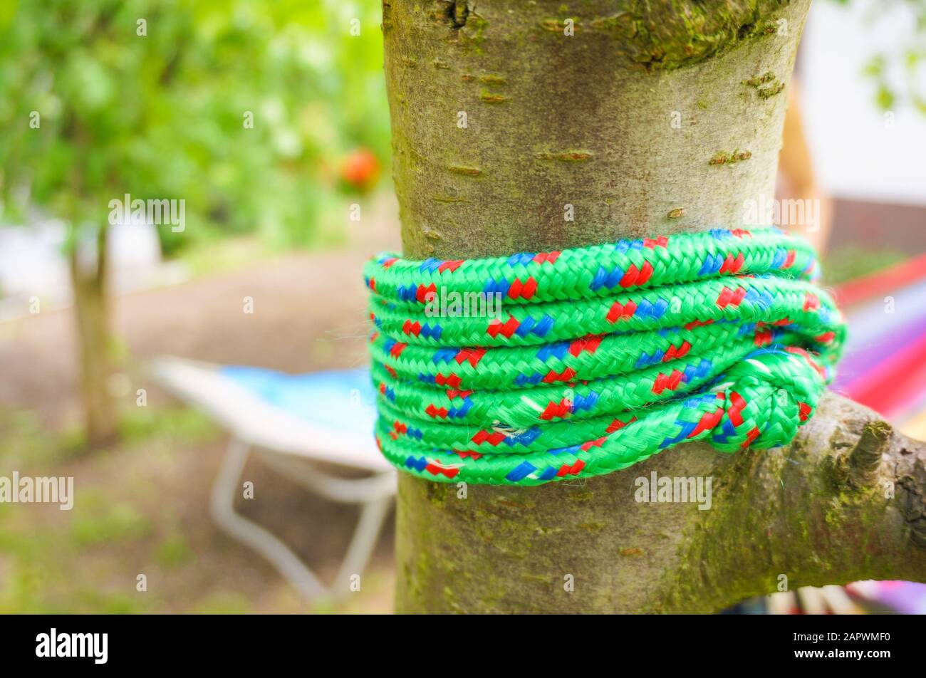 Primo piano di una corda verde avvolta intorno ad un albero Foto Stock