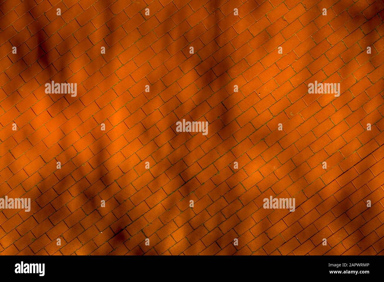 Disegno di marciapiede rosso arancio mattone dall'aria con ombre di rami Foto Stock
