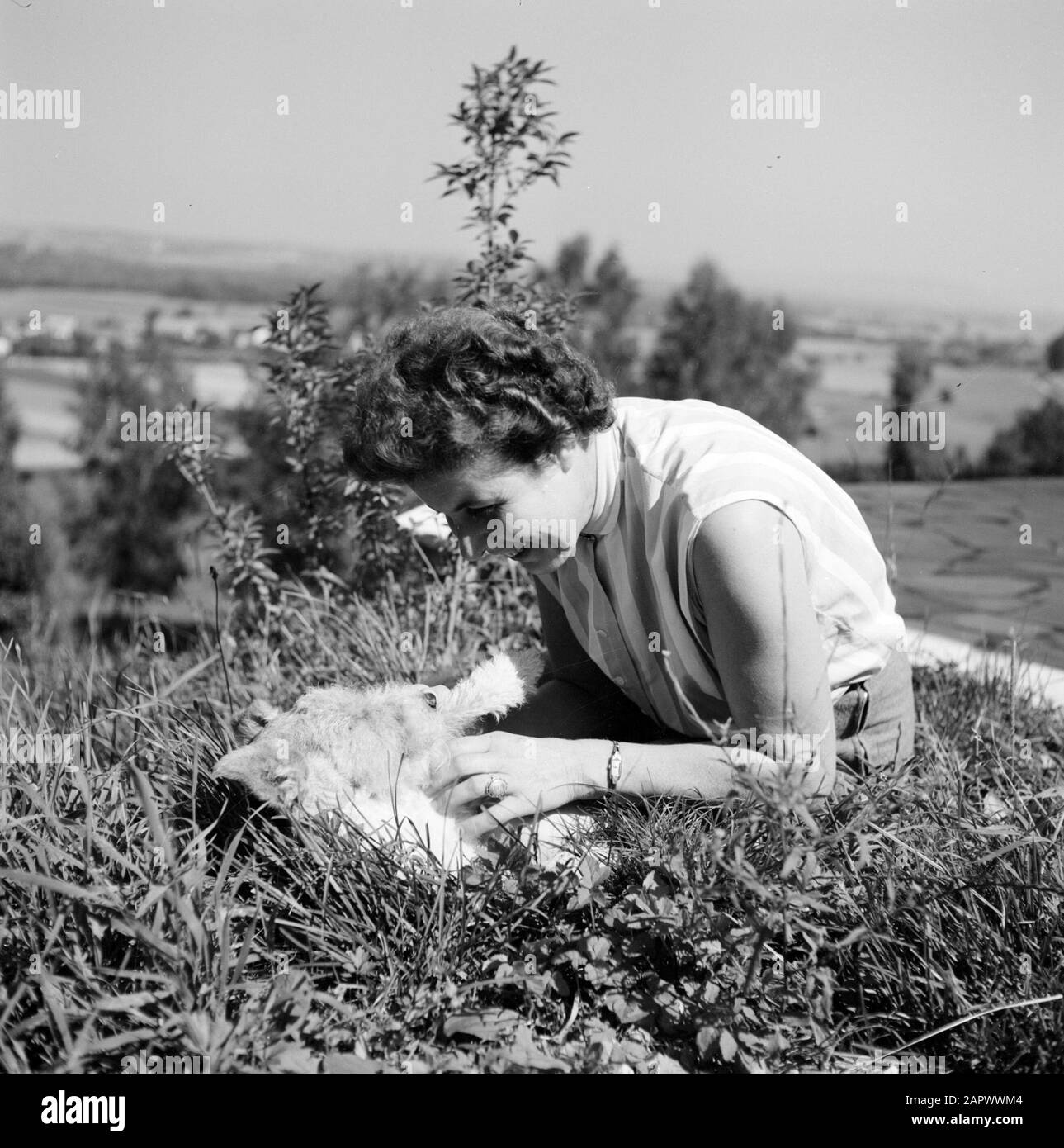 Teutoburgerwoud Olga gioca con un Airdale Terrier in the grass Data: 1956 Località: Bad Salzuflen, Germania, Ovest Germania Parole Chiave: Cani, paesaggi, gioco Foto Stock
