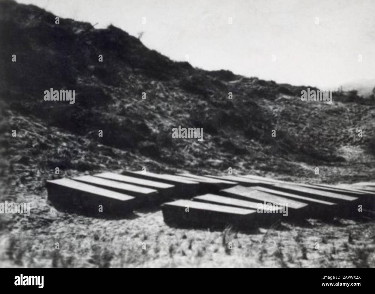 Circa 15 caselle con i resti di eroi della resistenza olandese che sono stati fucilati dai tedeschi sulla Dorpervlakte vallone. Paesi Bassi 1945. [Gli scavi sono stati effettuati da membri arrestati della polizia dell'Aia]. Foto Stock
