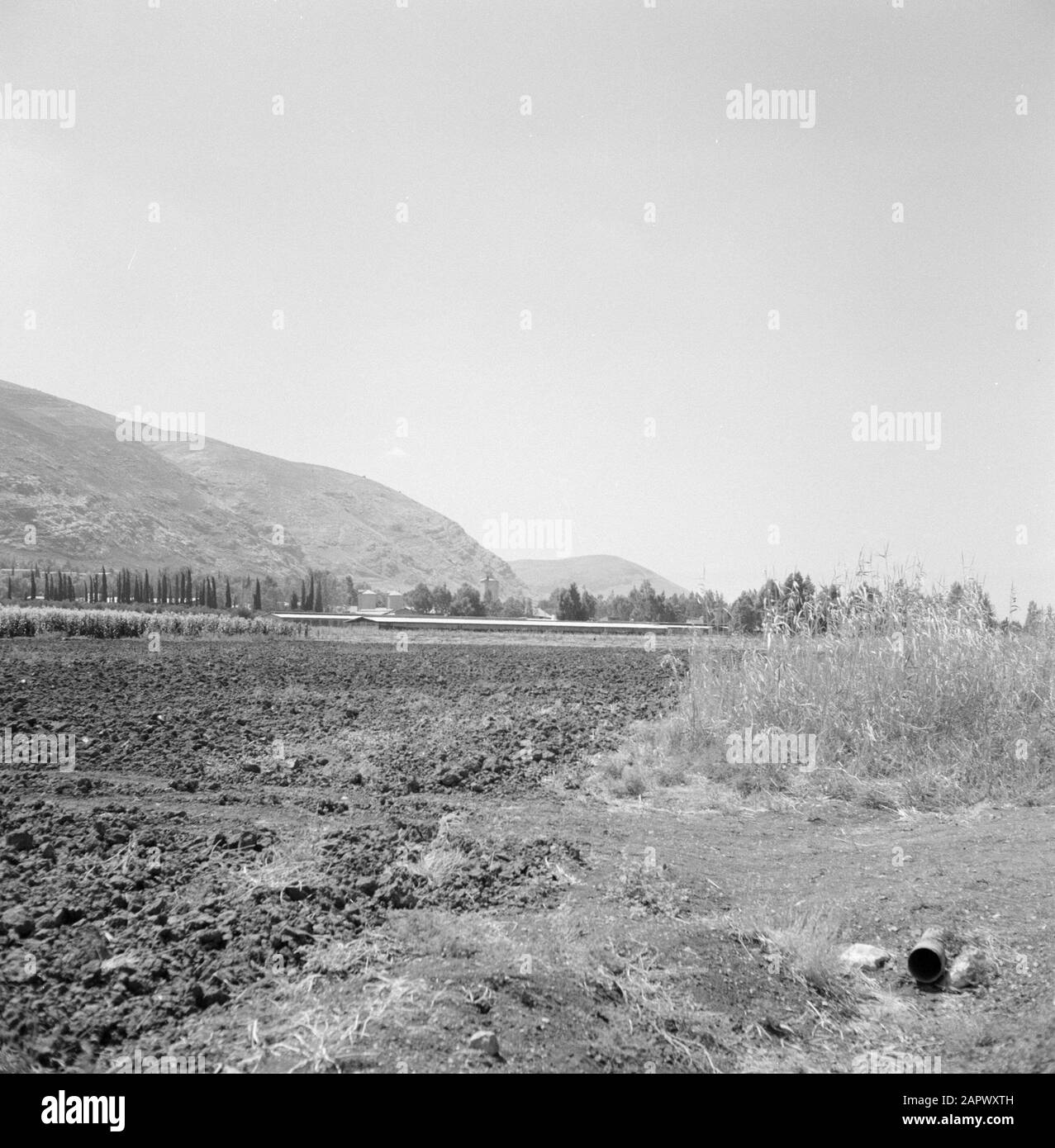 Israele 1964-1965: Beit Alpha, Gilboa Open pianura con sfondo montagne Annotazione: Mountain Gilboa è una catena di montagna che domina la Valle Jizreël nel nord di Israele Data: 1964 posizione: 1964 Beit Alpha, Israele Parole Chiave: Bergen, panorami Foto Stock