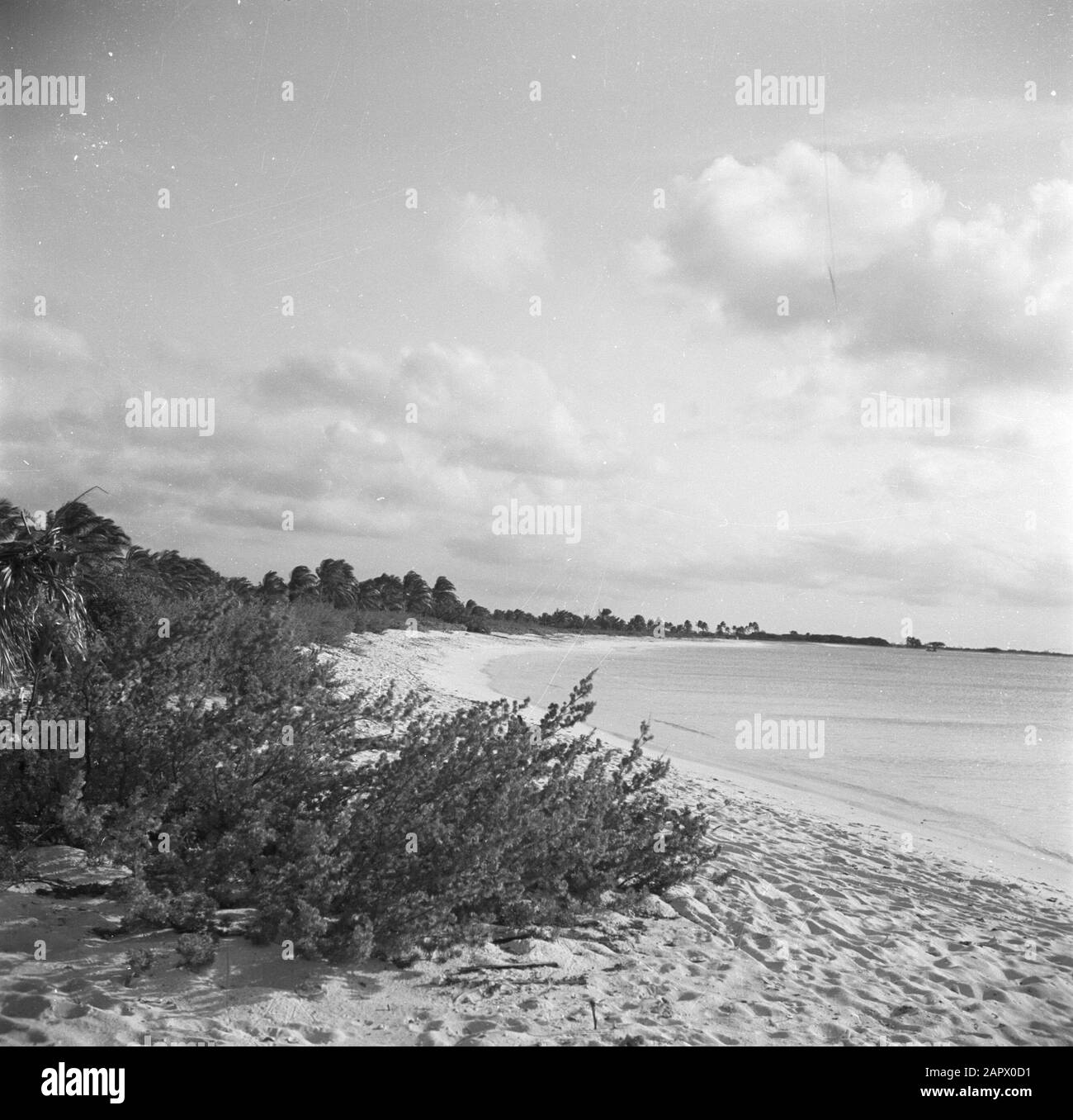 Viaggio in Suriname e Antille Olandesi Palm Beach su Aruba Data: 1947 Località: Aruba Parole Chiave: Spiagge Foto Stock