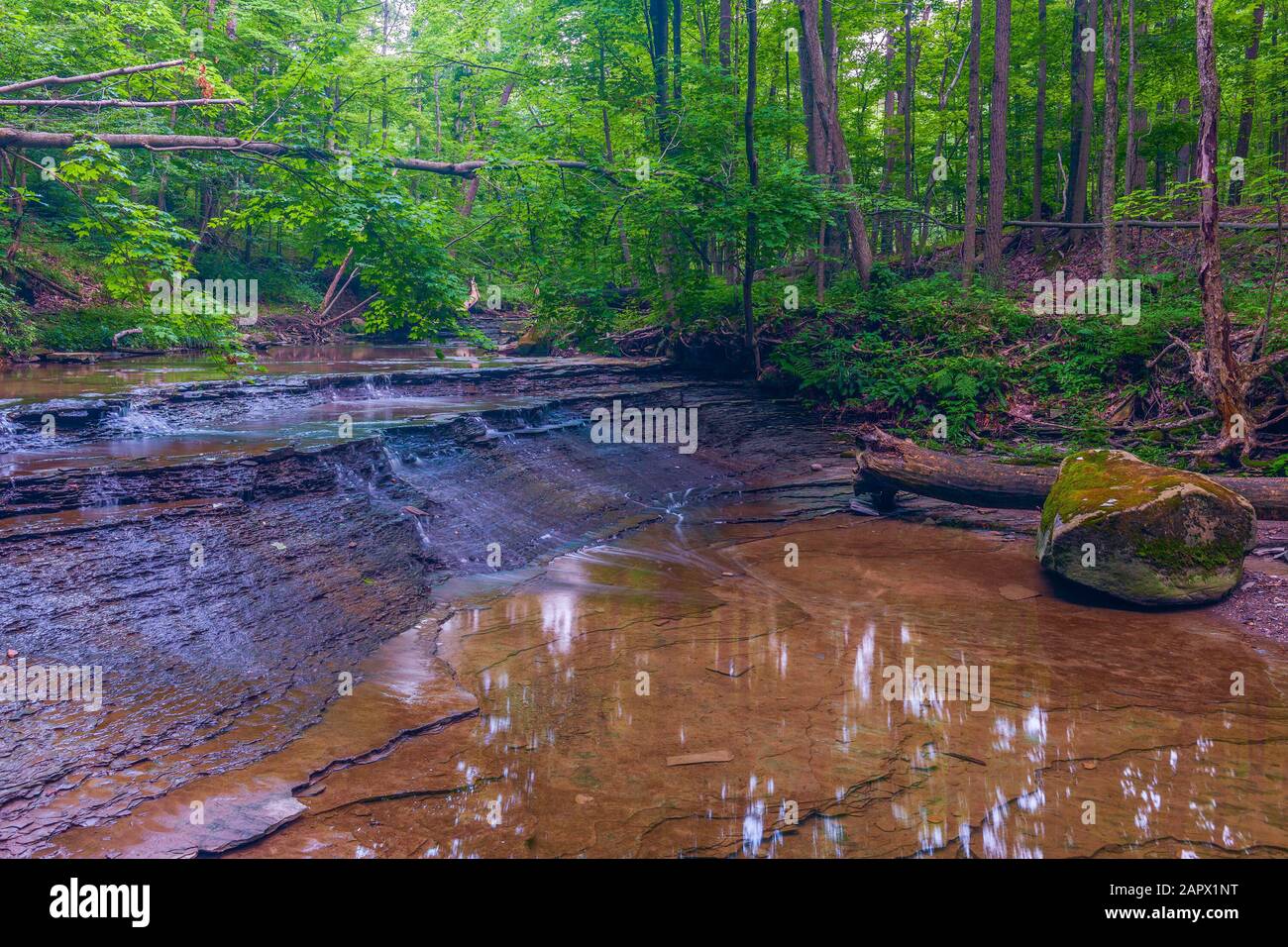 Piccola cascata sul Deer Lick Creek subito a monte delle Bridal Veil Falls. Parco Nazionale di Cuyahoga. Ohio. STATI UNITI Foto Stock