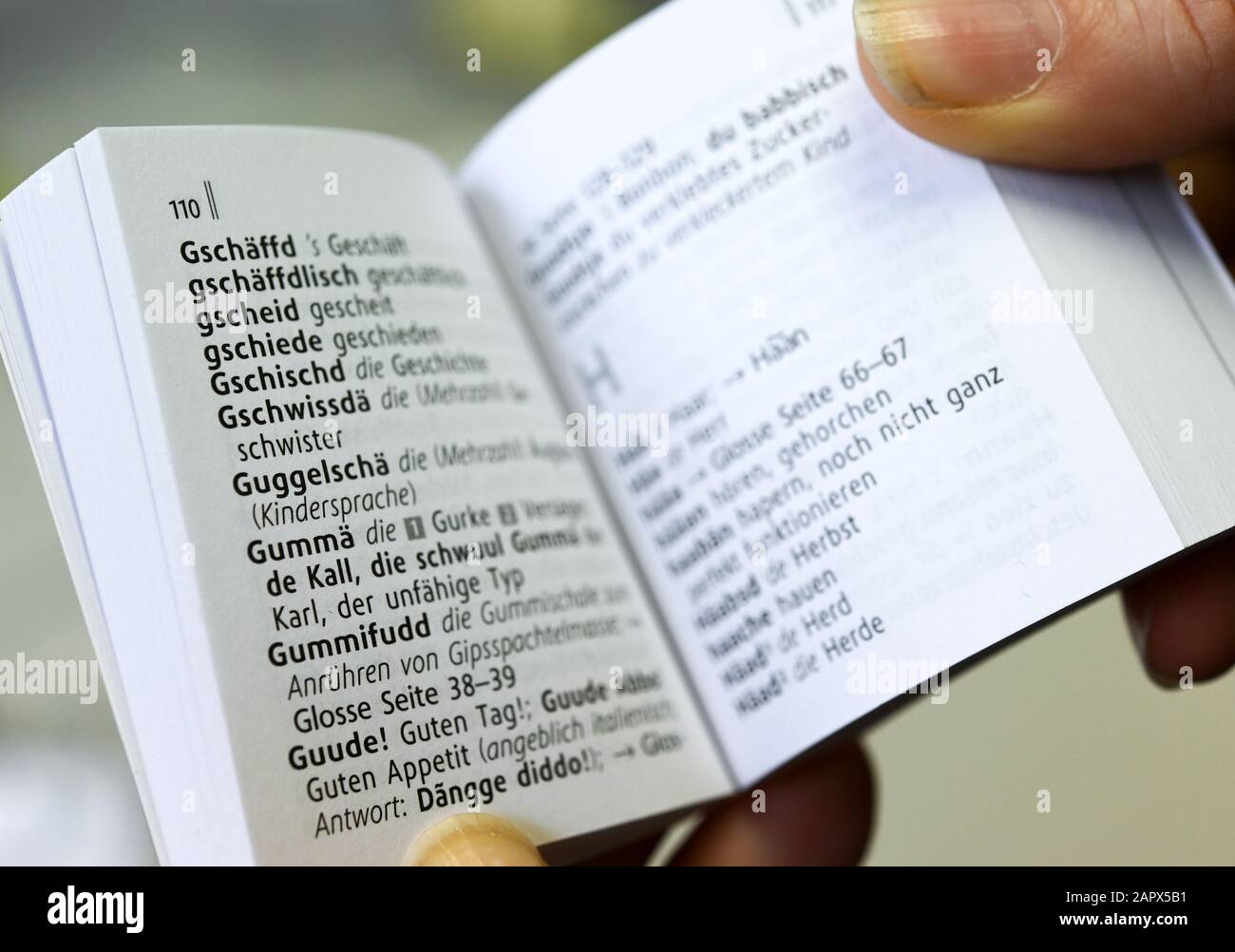 23 gennaio 2020, Hessen, Francoforte sul meno: In un libro di frasi aperto 'Hessisch' si possono vedere parole come 'Guude ! Ogni regione ha una propria colorazione linguistica. Le differenze regionali nel vocabolario e nella pronuncia rendono l'area linguistica dell'Assia la più complessa della Germania. (A dpa-Korr 'Babbeln' gli essiani tutti uguali?) Foto: Arne Dedert/dpa Foto Stock