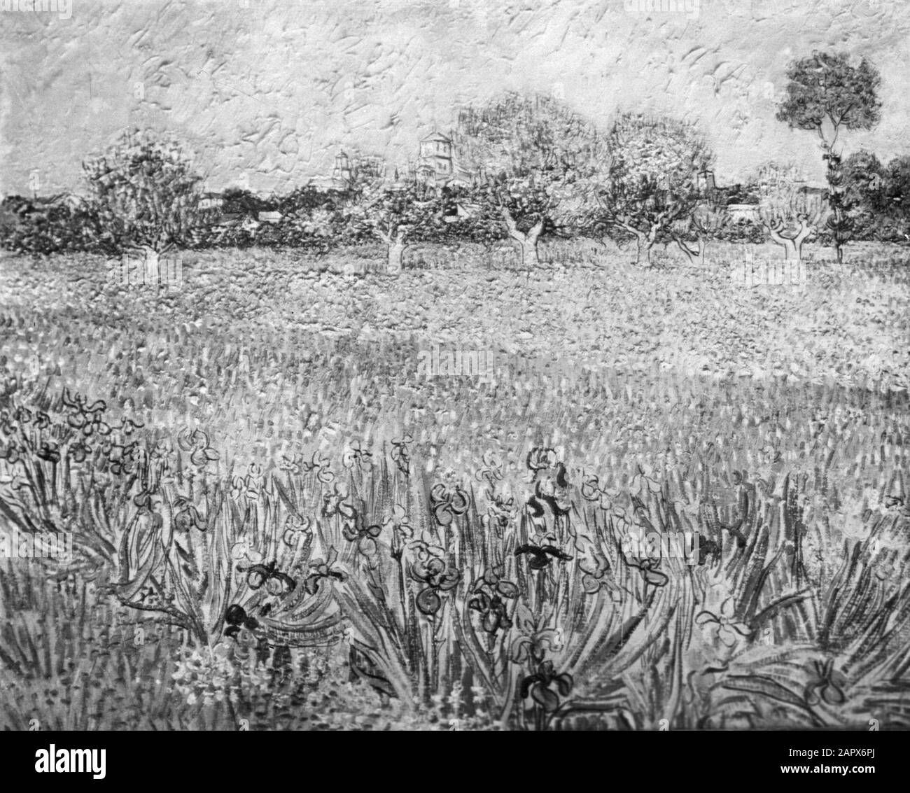 Riproduzione Fotografia Riproduzione Di un dipinto di Van Gogh Data: Senza data Nome personale: Gogh, Vincent van Foto Stock