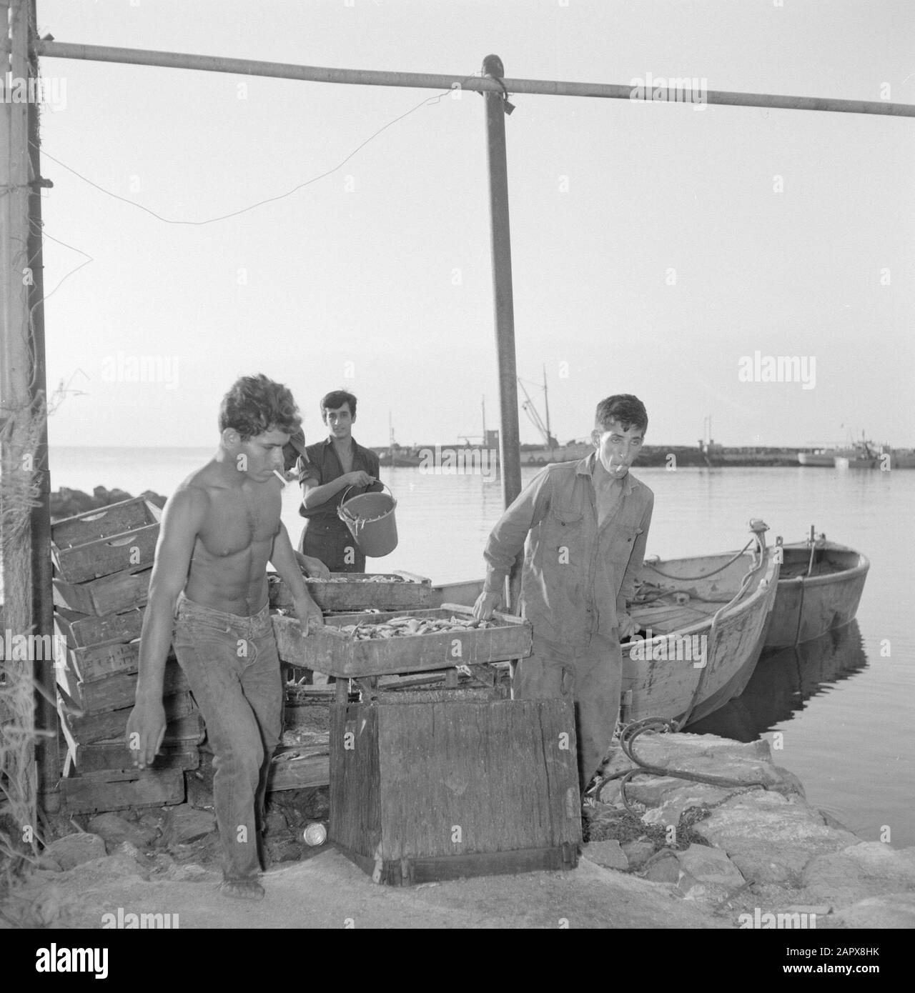 Israele: Pescatori notturni sul Lago di Tiberias, a Ginosar fumo sardine pescatori portare la loro cattura di notte all'alba a terra per ulteriori lavorazioni in una fabbrica di inscatolamento Annotazione: Il Lago di Tiberias è anche chiamato Lago di Galilea o Lago di Genezareth Data: Unundated posizione: Ginosar, Israele, Lago di Tiberias Parole Chiave: Conserve, imballaggio, carico e scarico, fumo, pesca, pescatori Foto Stock