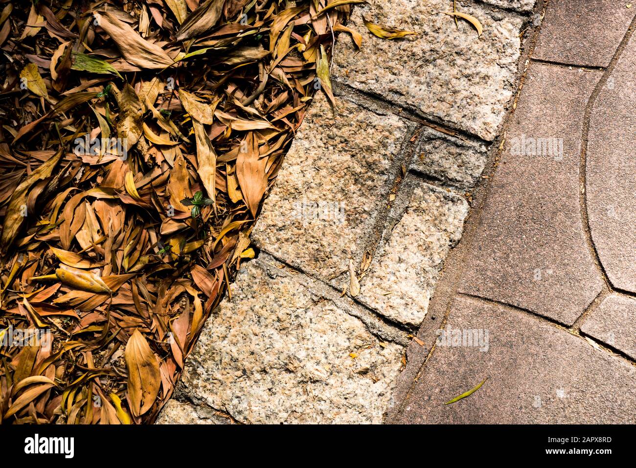 Sentiero autunnale, strada in pietra, strada di campagna, vicolo, corsia con foglie appassite come sfondo o texture Foto Stock Sentiero autunnale, strada in pietra, strada di campagna, vicolo, corsia con foglie appassite come sfondo o texture Foto Stock