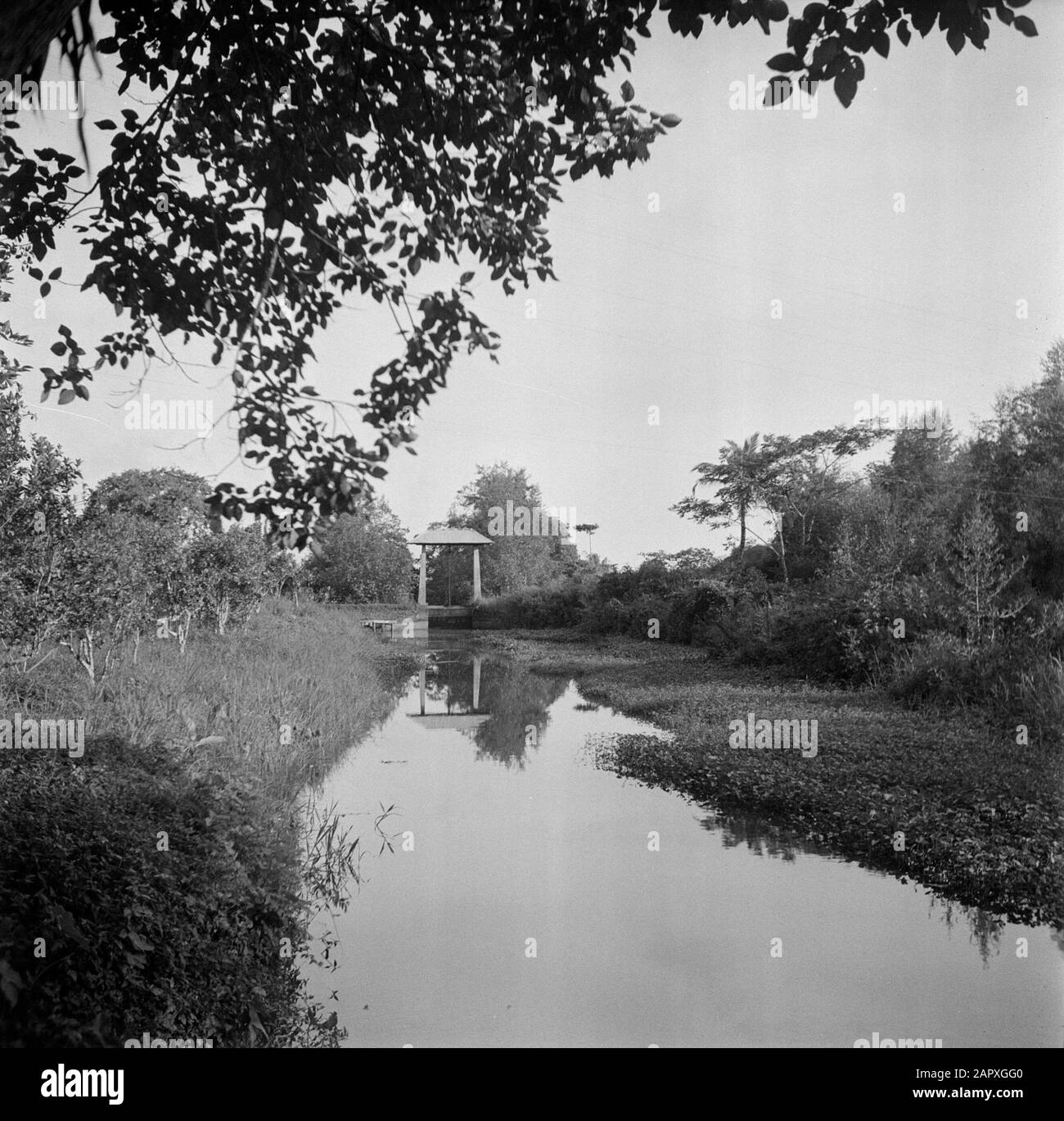 Viaggio in Suriname e le Antille Olandesi bloccare in Suriname Data: 1947 luogo: Commewijne, Suriname Parole Chiave: Serrature Foto Stock