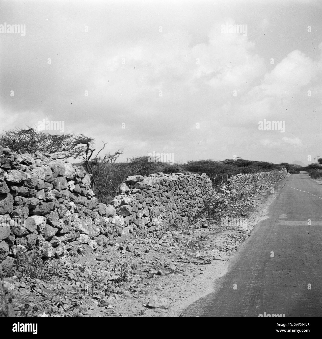 Viaggio in Suriname e le Antille Olandesi muro di pietra lungo una strada su Curaçao, costruito da schiavi Data: 1947 posizione: Curaçao Parole Chiave: Mura, schiavitù, strade Foto Stock