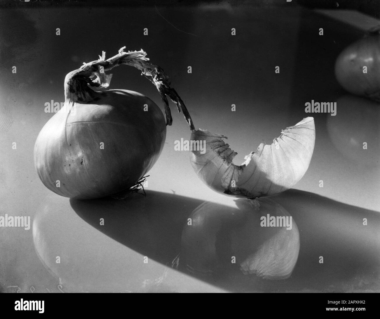 Pubblicità fotografia Ancora vita con cipolla Data: 1932 Parole Chiave: Verdure Foto Stock