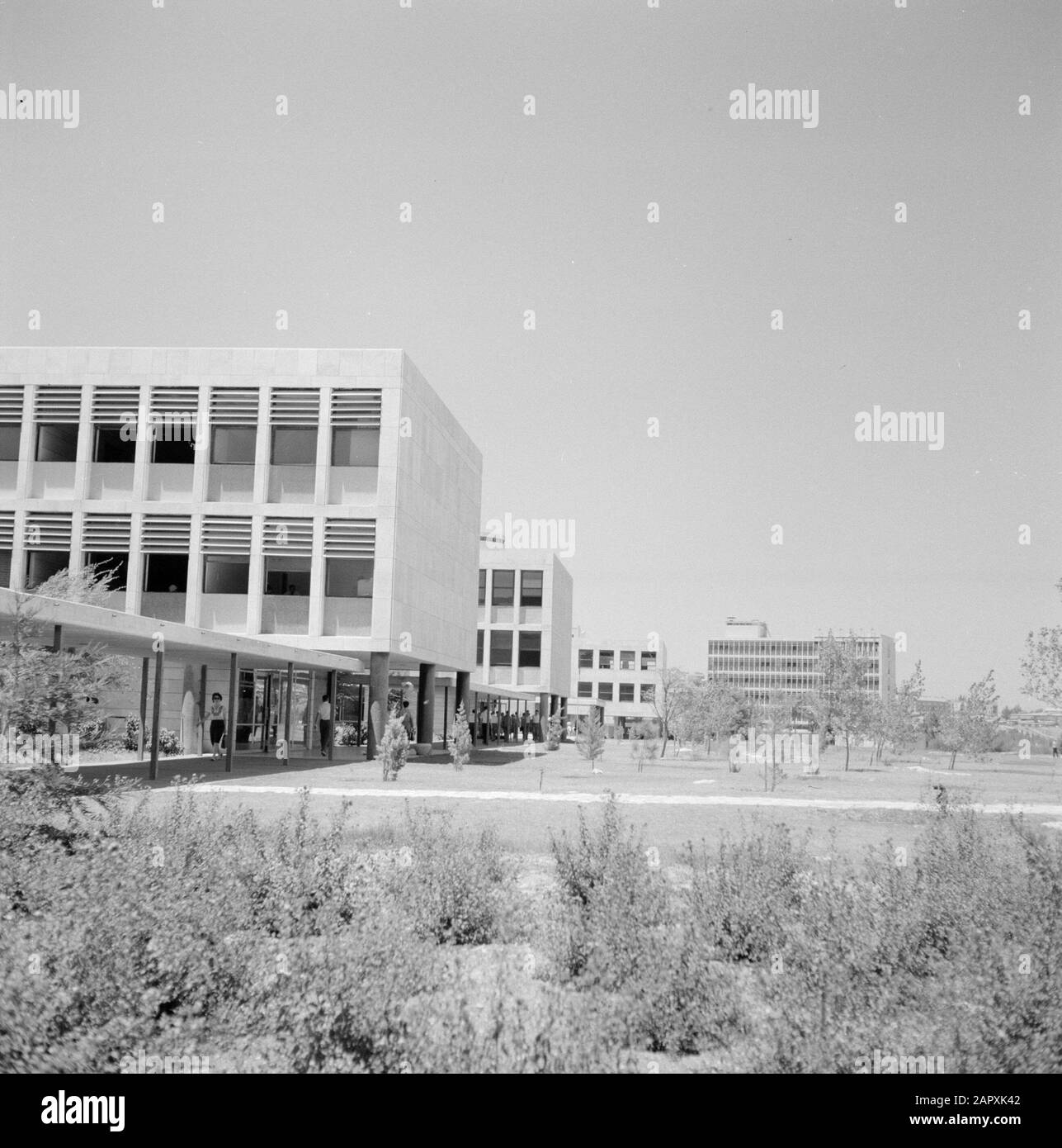 Israele 1964-1965: Gerusalemme (Gerusalemme), Studenti dell'Università Ebraica nel campus dell'Università Ebraica di Gerusalemme Annotazione: Il 1 aprile 1925, l'Università Ebraica di Gerusalemme fu aperta durante una cerimonia festiva alla quale parteciparono i leader del mondo. Il primo consiglio di amministrazione dell'università era composto da celebrità come Albert Einstein, Sigmund Freud, Martin Buber, James Rothschild e Sir Alfred Mond Data: 1964 Località: Israele, Gerusalemme Parole Chiave: Architettura, campus, panorami, studenti, università Foto Stock