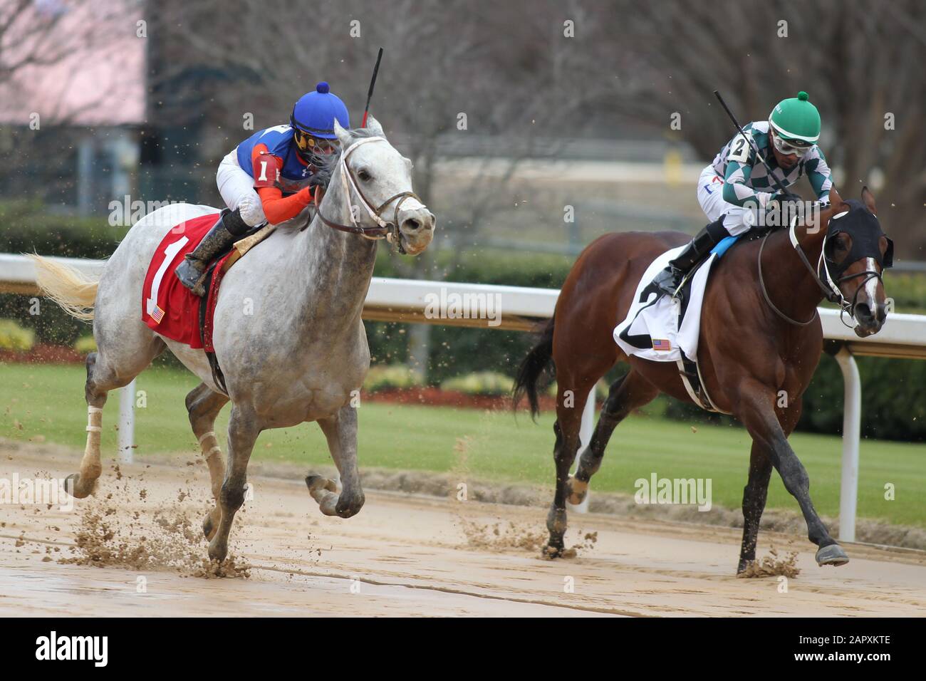 Hot Springs, Arkansas, Stati Uniti. 24th Gen 2020. 24 gennaio 2020: Silver Ride (a sinistra) con jockey Orlando Mojica a bordo di lotta contro Nero (a destra) con jockey Ricardo Santana Jr. A bordo durante la gara 7th presso l'Oaklawn Racing Casino Resort a Hot Springs, Arkansas, il 24 gennaio 2020. Justin Manning/Eclipse Sportswire/Csm/Alamy Live News Foto Stock