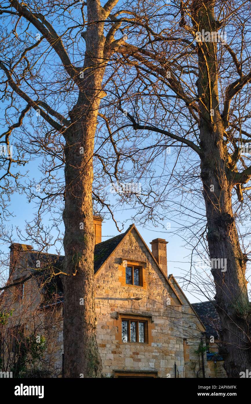 Luce del tramonto invernale su una casa di pietra cotswold e alberi invernali nel villaggio cotswold di Stanton, Cotswolds, Gloucestershire, Inghilterra Foto Stock
