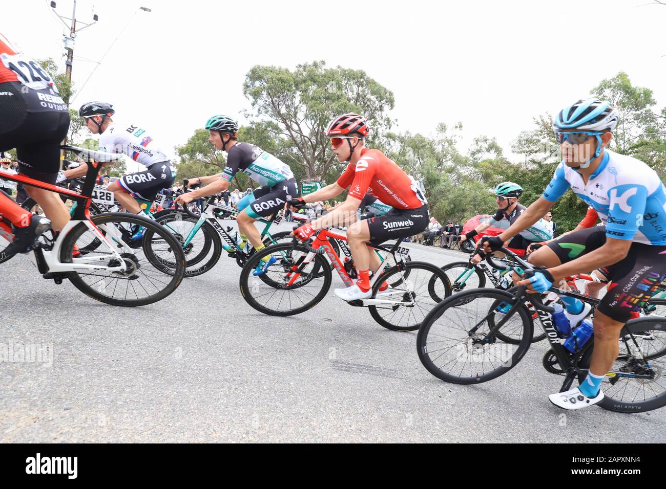 Piloti in gara sulla terza fase del Tour 2020 In bicicletta vicino Adelaide Australia Foto Stock