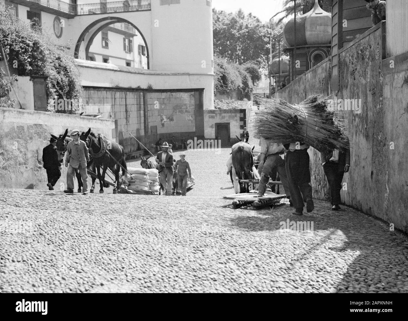 Madeira Transportation con slitte trainate da cavalli Data: 1934 Località: Funchal, Madeira, Portogallo Parole Chiave: Immagini di strada, trasporto Foto Stock