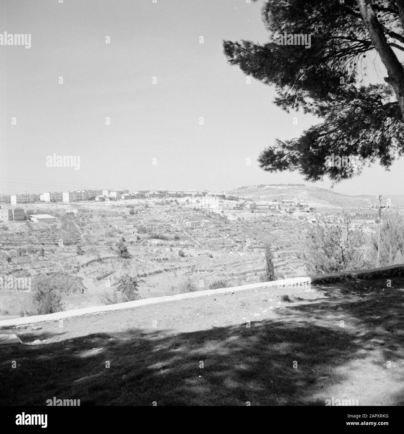 Israele 1964-1965: Gerusalemme (Gerusalemme), Herzlberg Vista dall'ombra di un albero sulla montagna Annotazione: Herzlberg, chiamato anche Monte della memoria, è il cimitero nazionale di Israele, sul lato ovest di Gerusalemme. La montagna prende il nome da Theodor Herzl, il fondatore del sionismo politico moderno. La tomba di Herzl si trova in cima alla collina Data: 1964 Località: Herzlberg, Israele, Gerusalemme Parole Chiave: Panorami, ombre Foto Stock